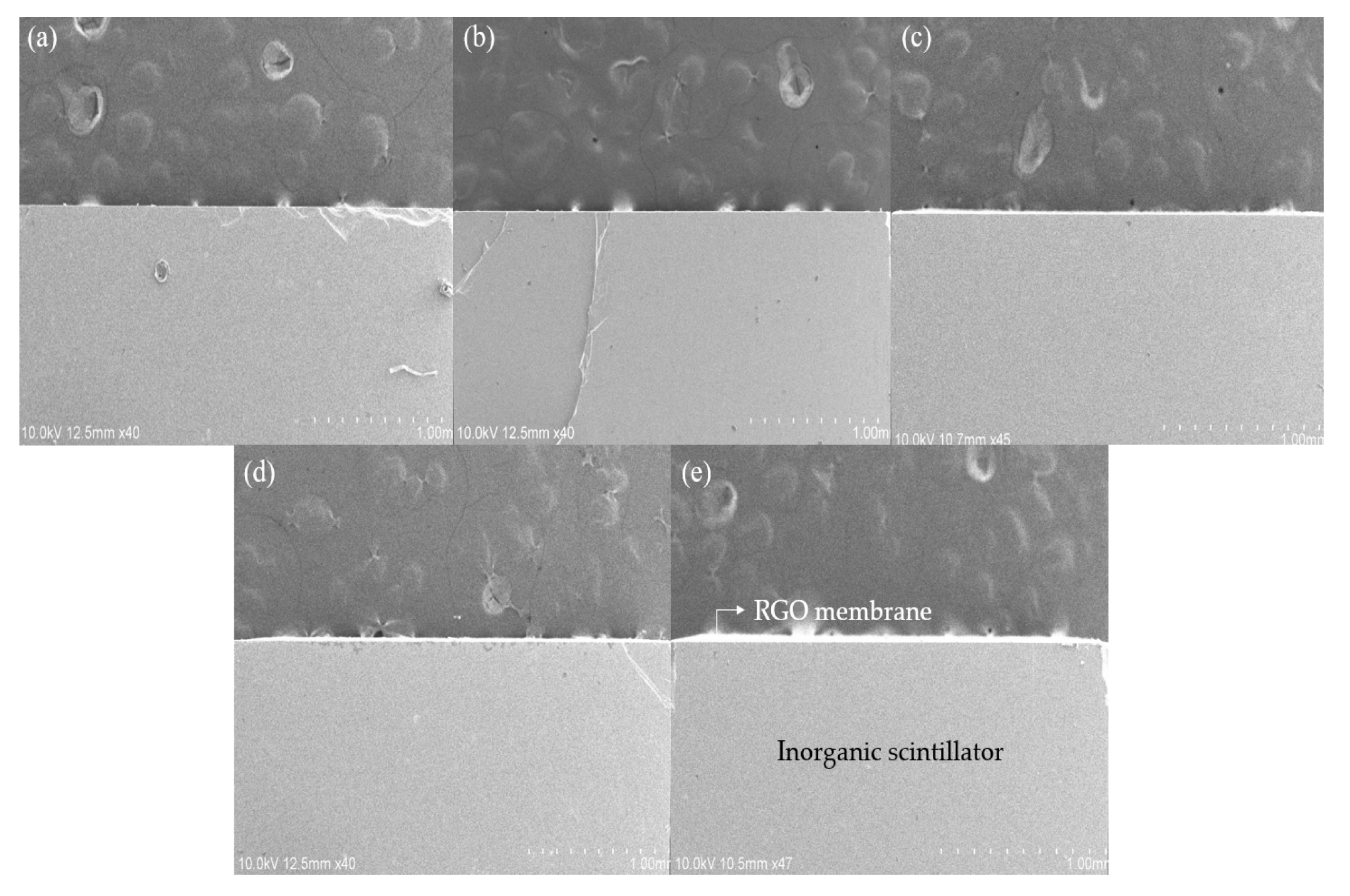 Photonics 08 00543 g003