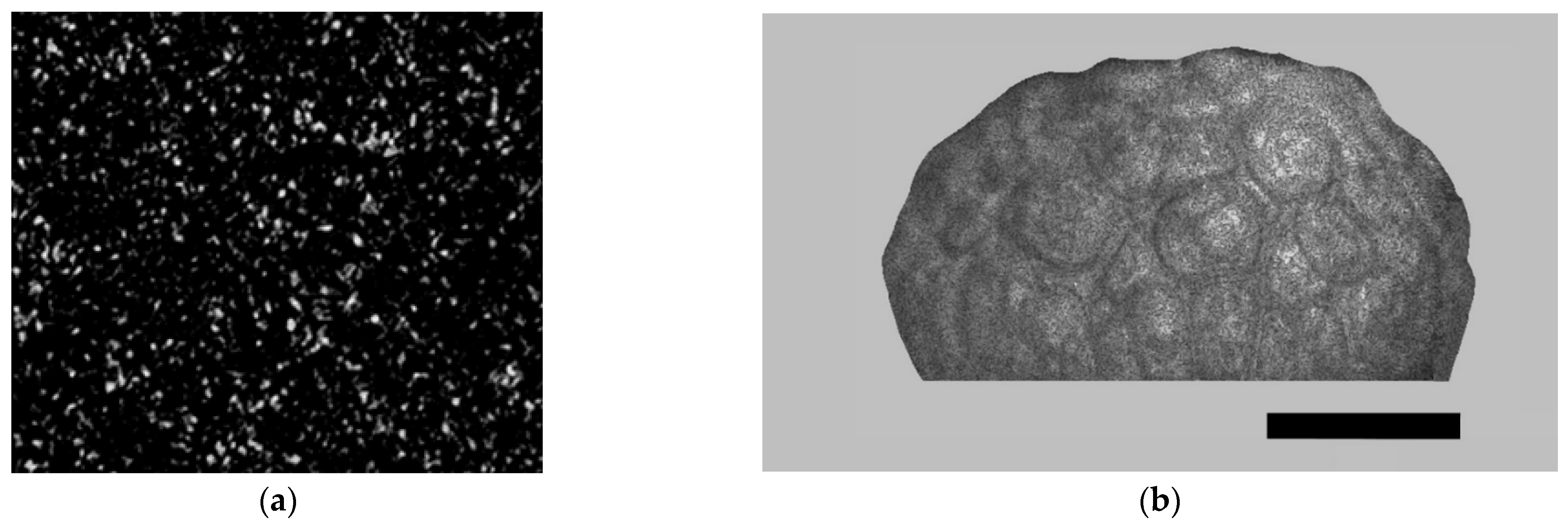 Photonics 08 00549 g002 550