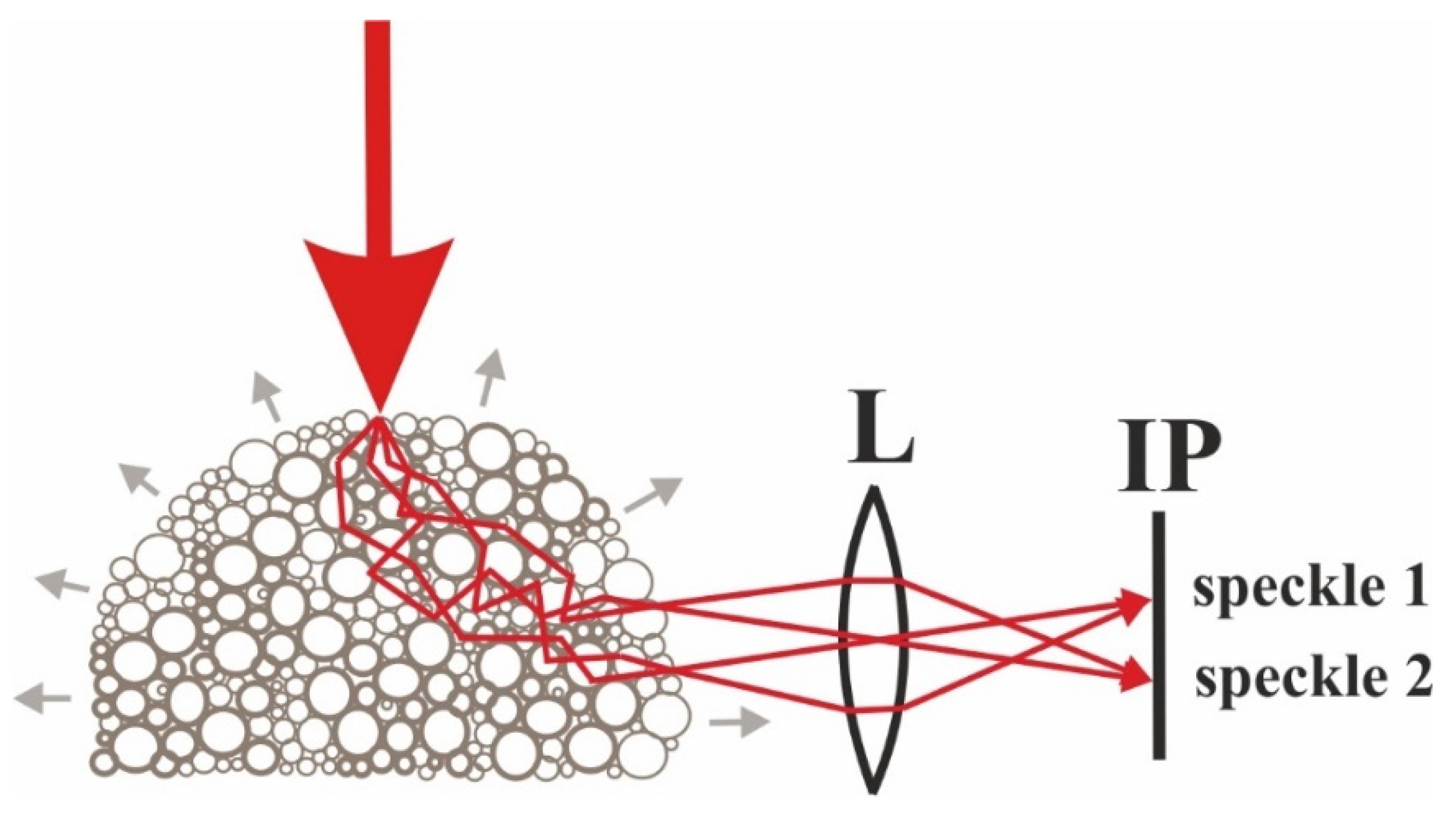Photonics 08 00549 g006 550