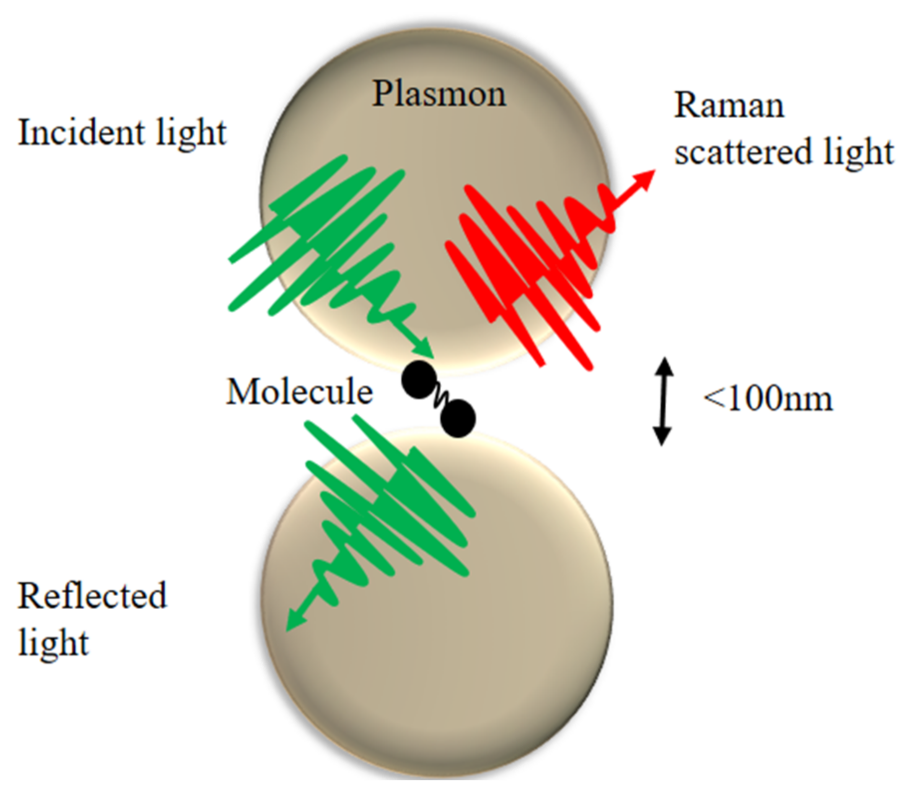 Photonics 08 00568 g002