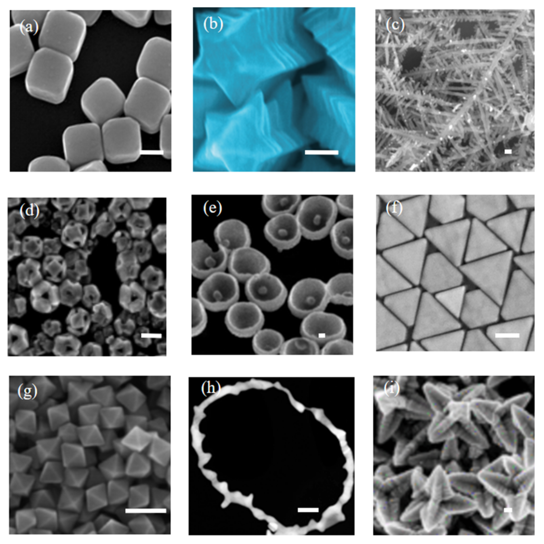 Photonics 08 00568 g003