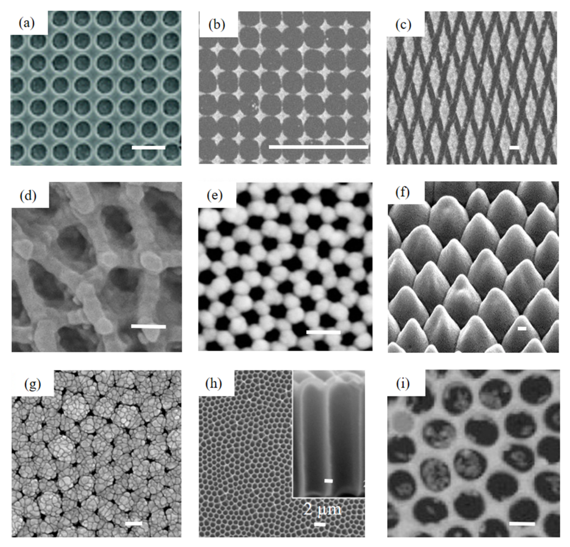 Photonics 08 00568 g004
