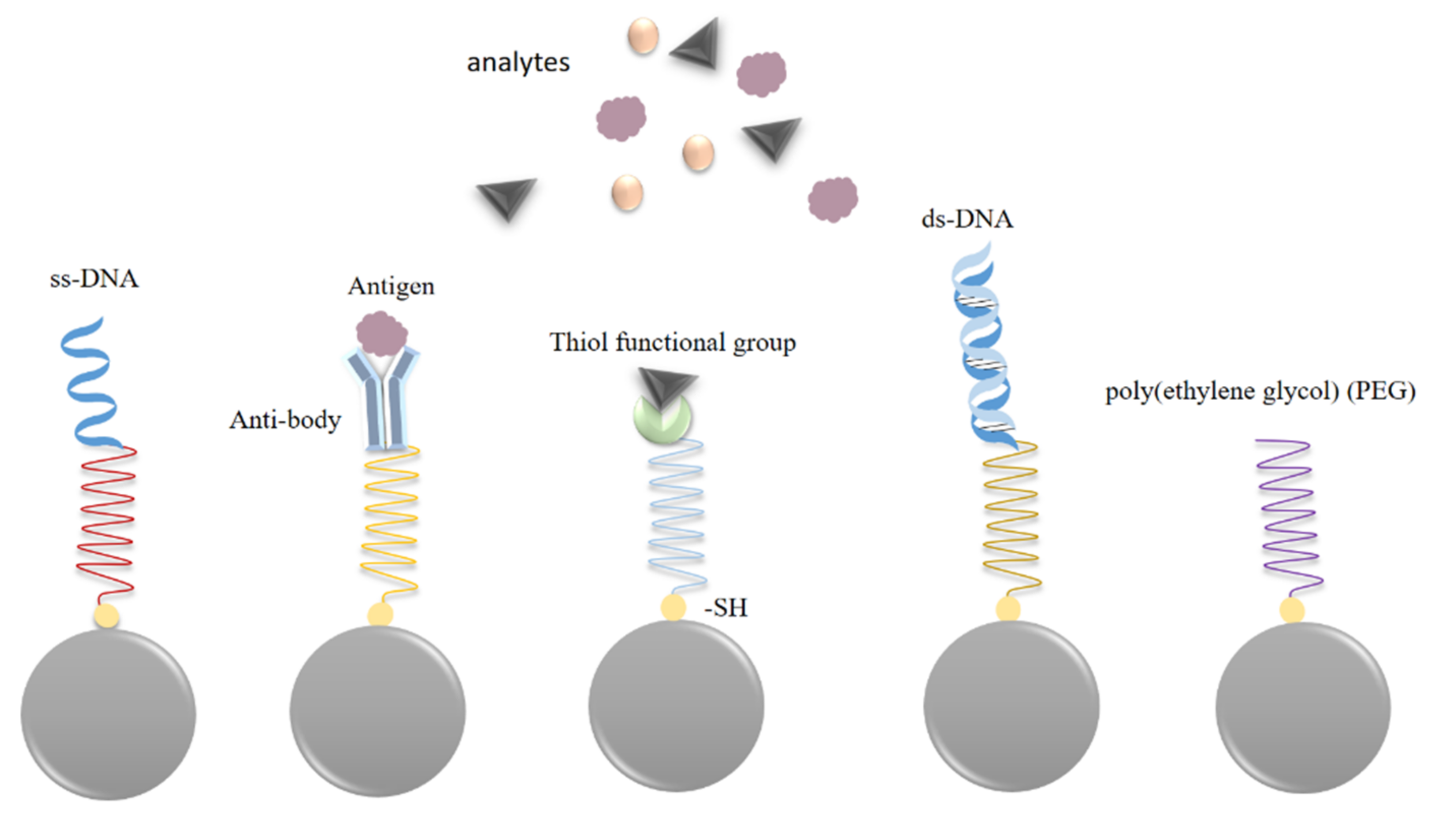 Photonics 08 00568 g005