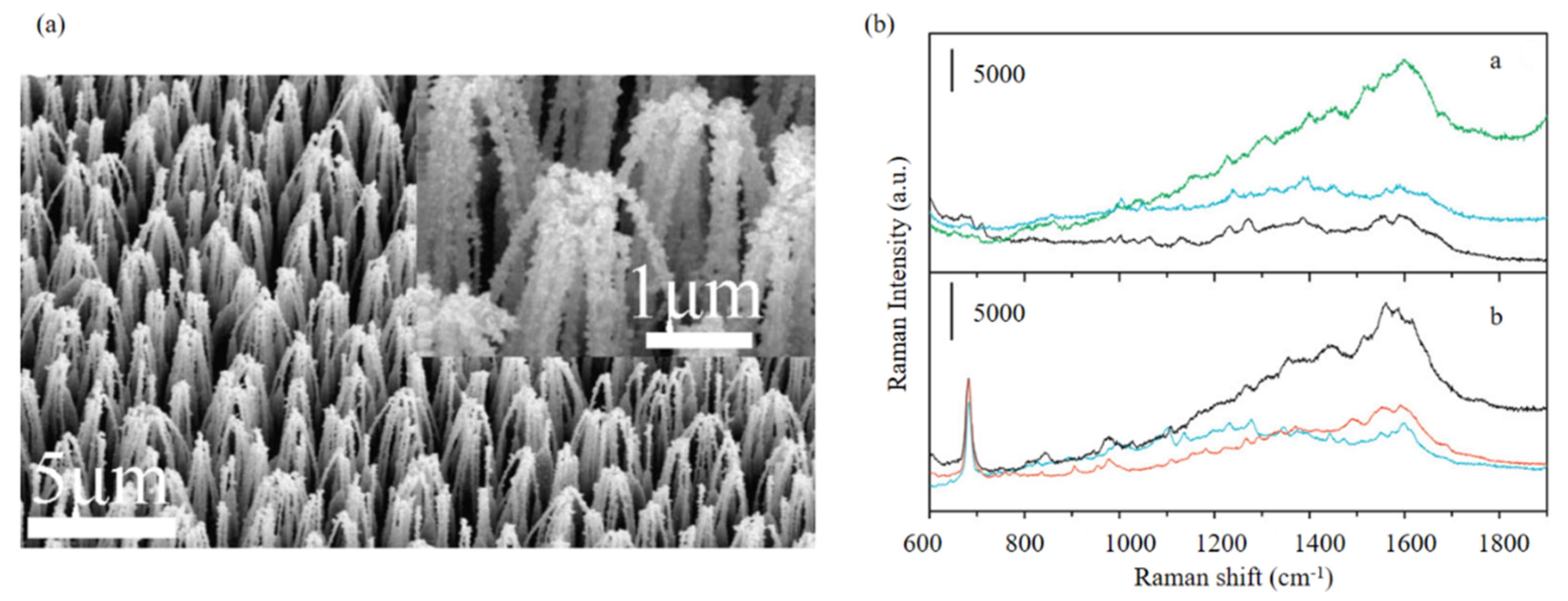 Photonics 08 00568 g006