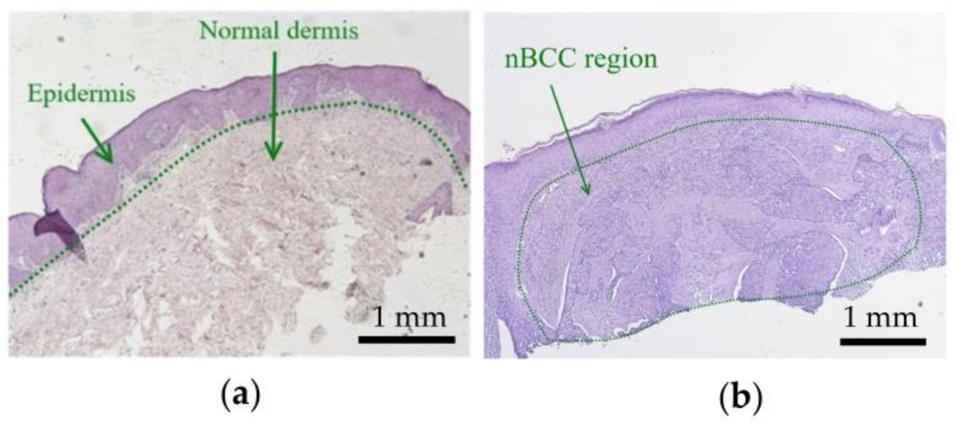 Photonics 08 00580 g001 Photonics 08 00580 g001