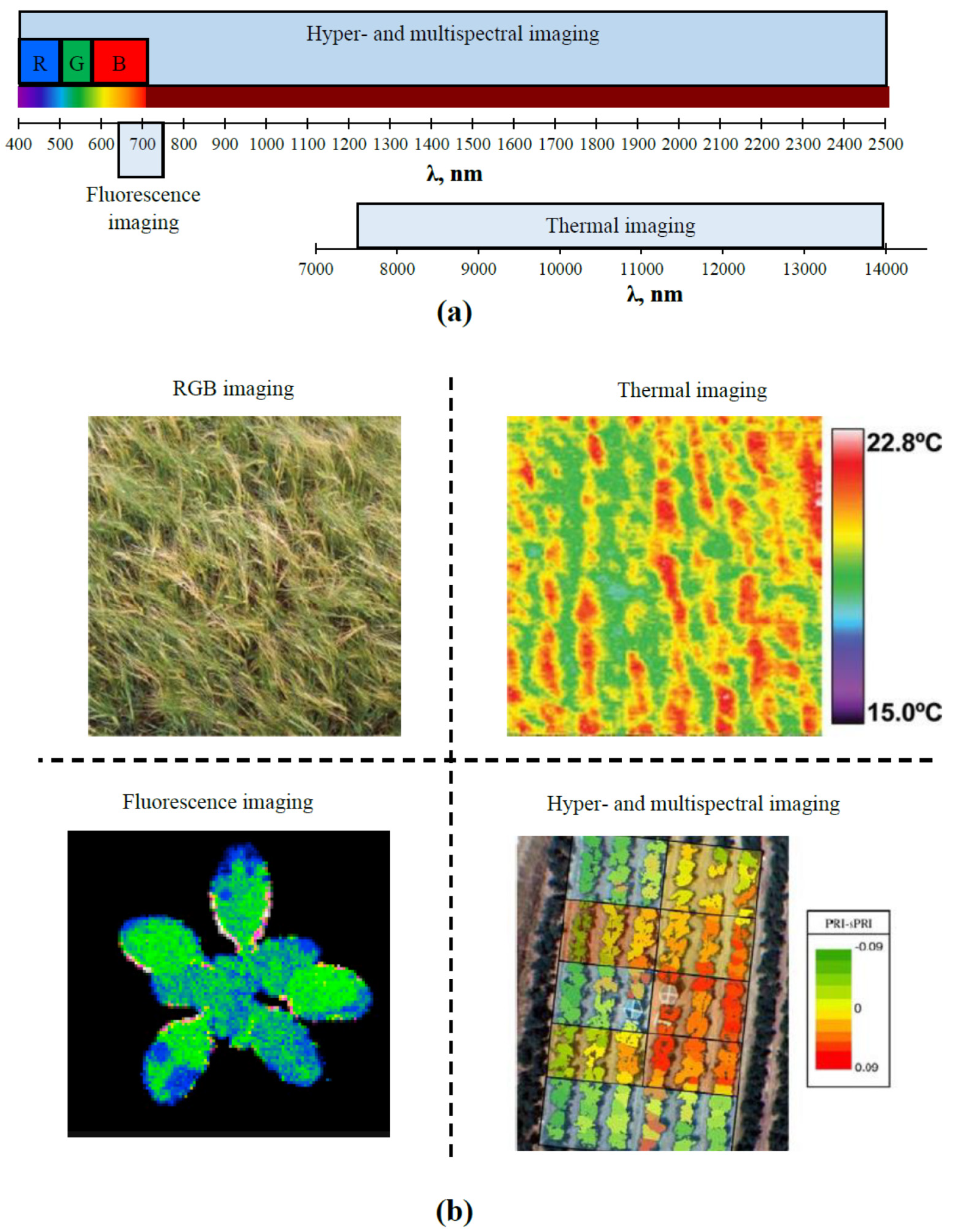 Photonics 08 00582 g001