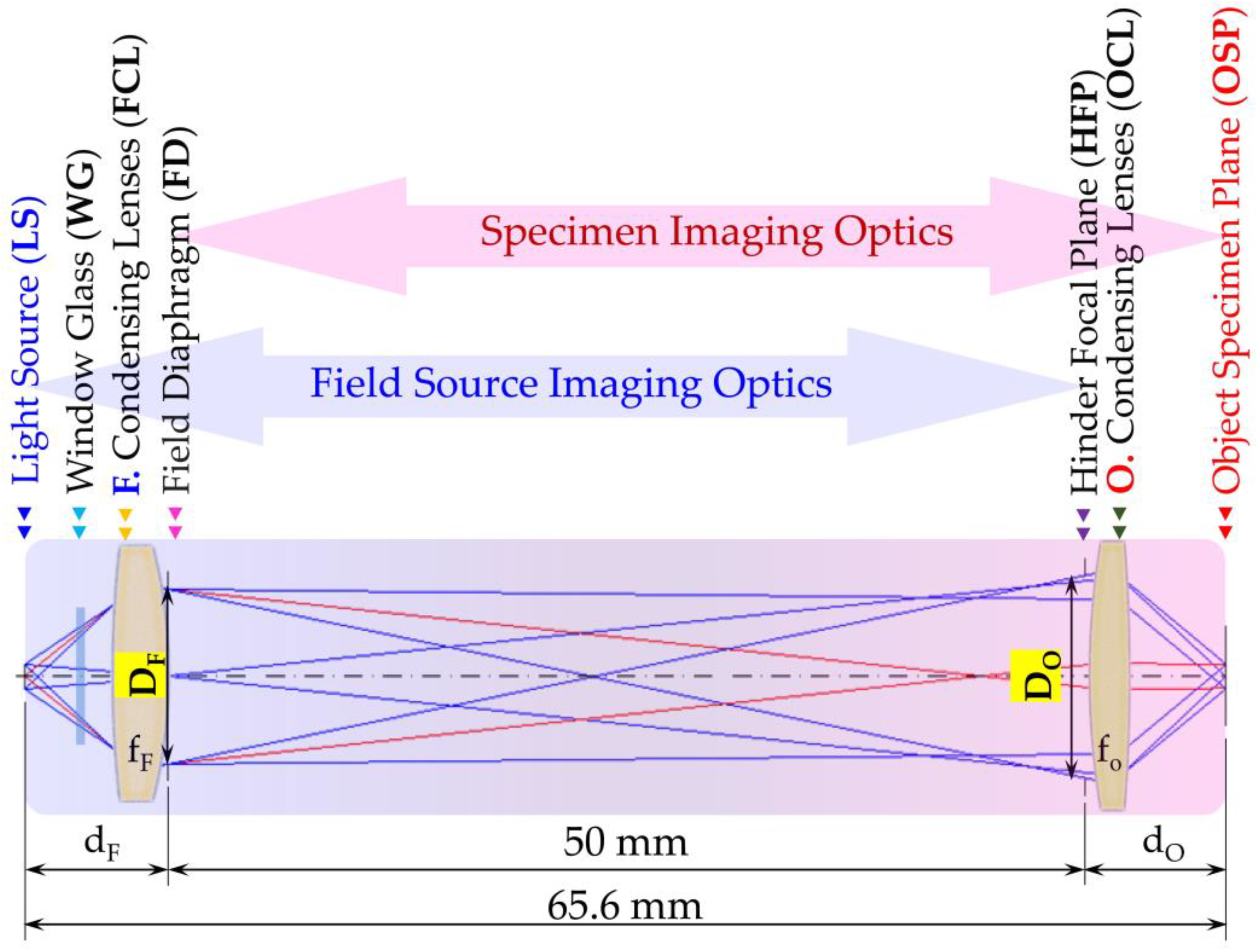 Photonics 09 00005 g001