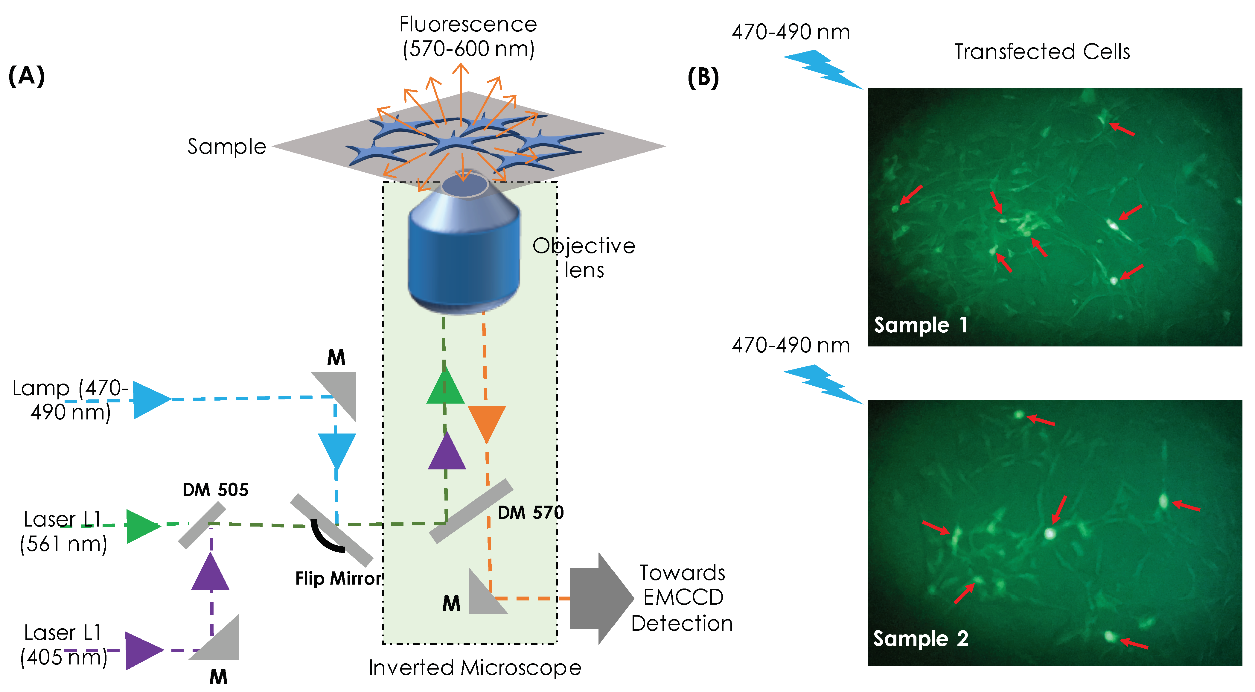 Photonics 09 00007 g001