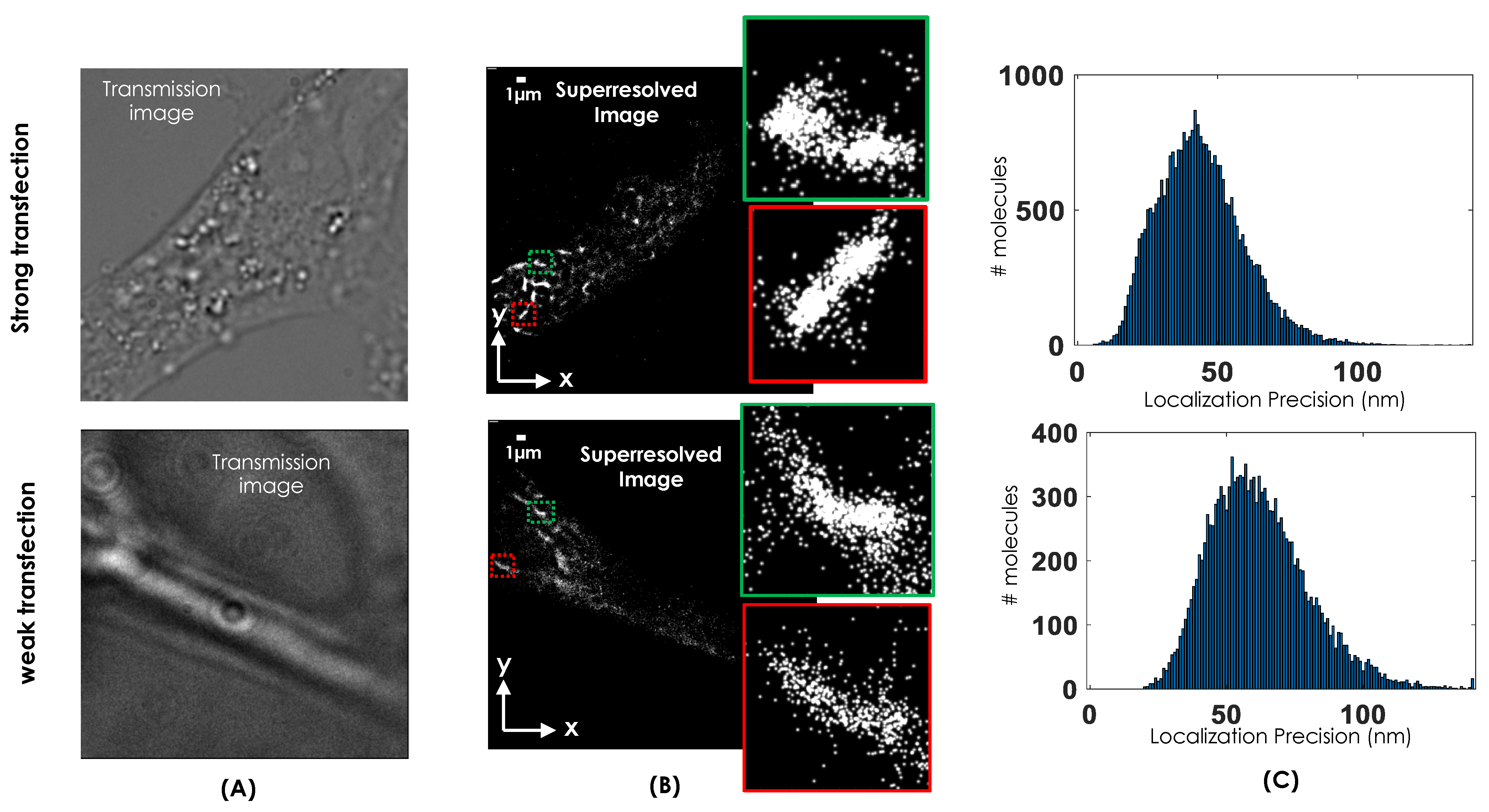 Photonics 09 00007 g002