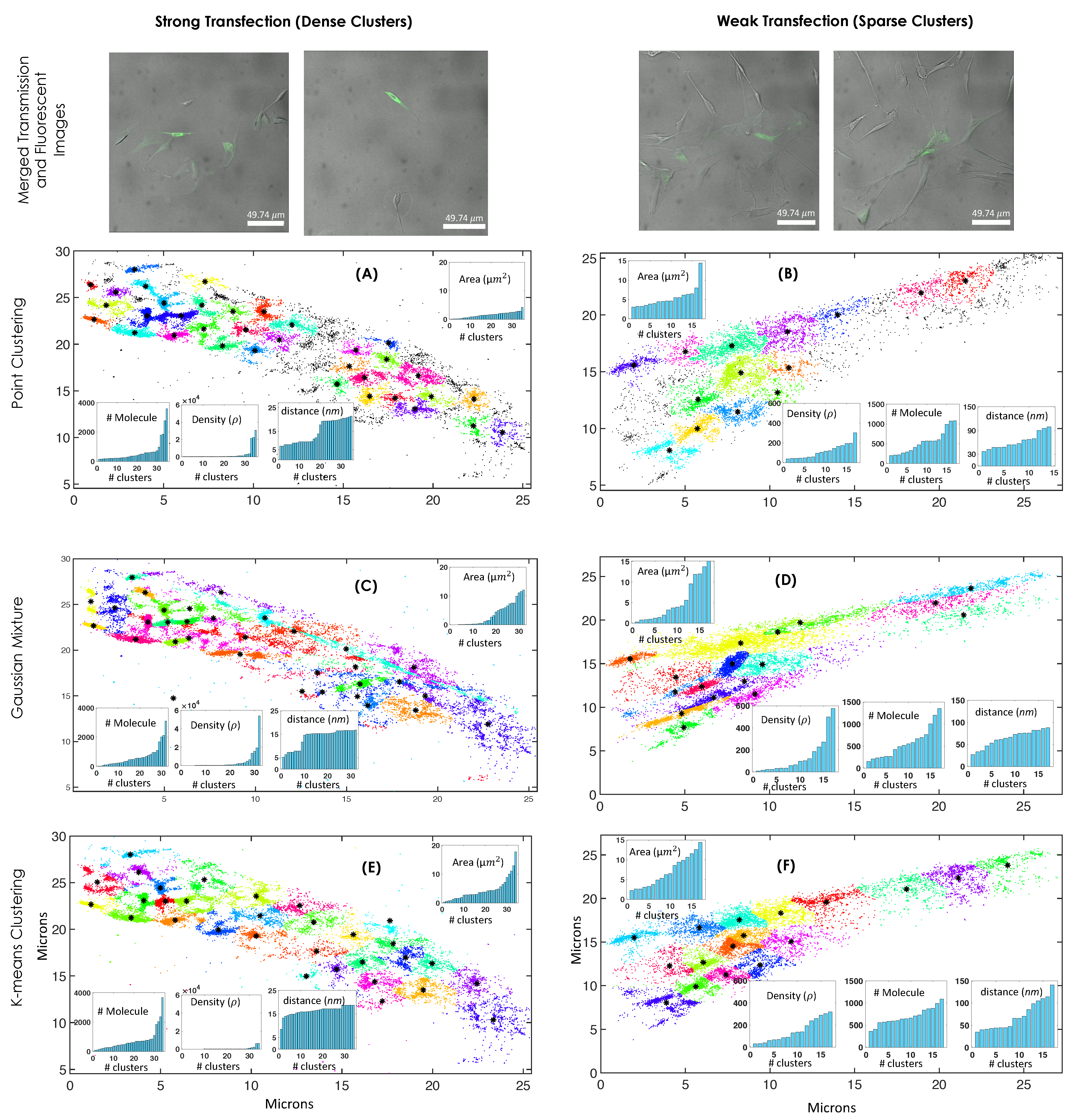 Photonics 09 00007 g004