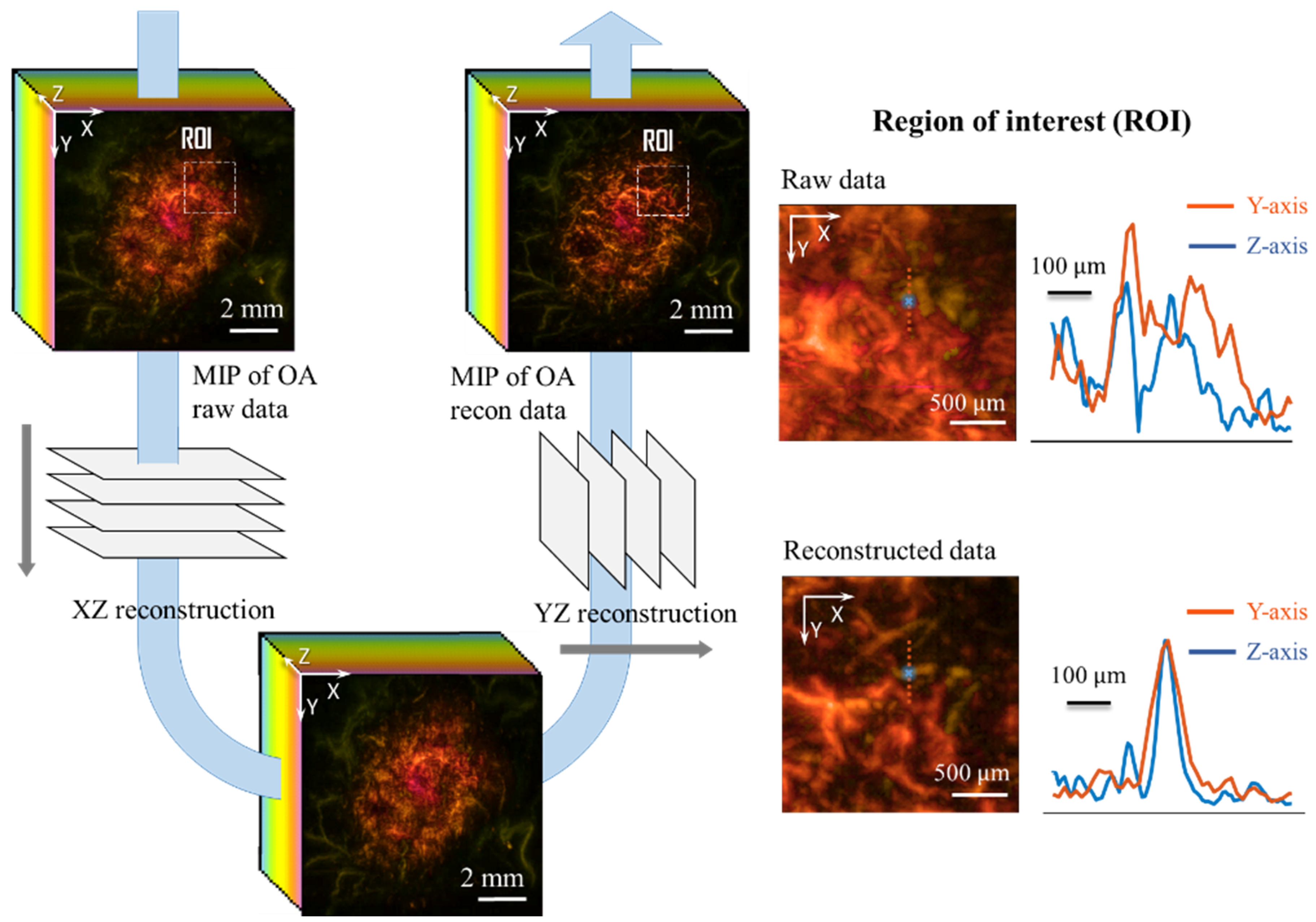 Photonics 09 00015 g003 550