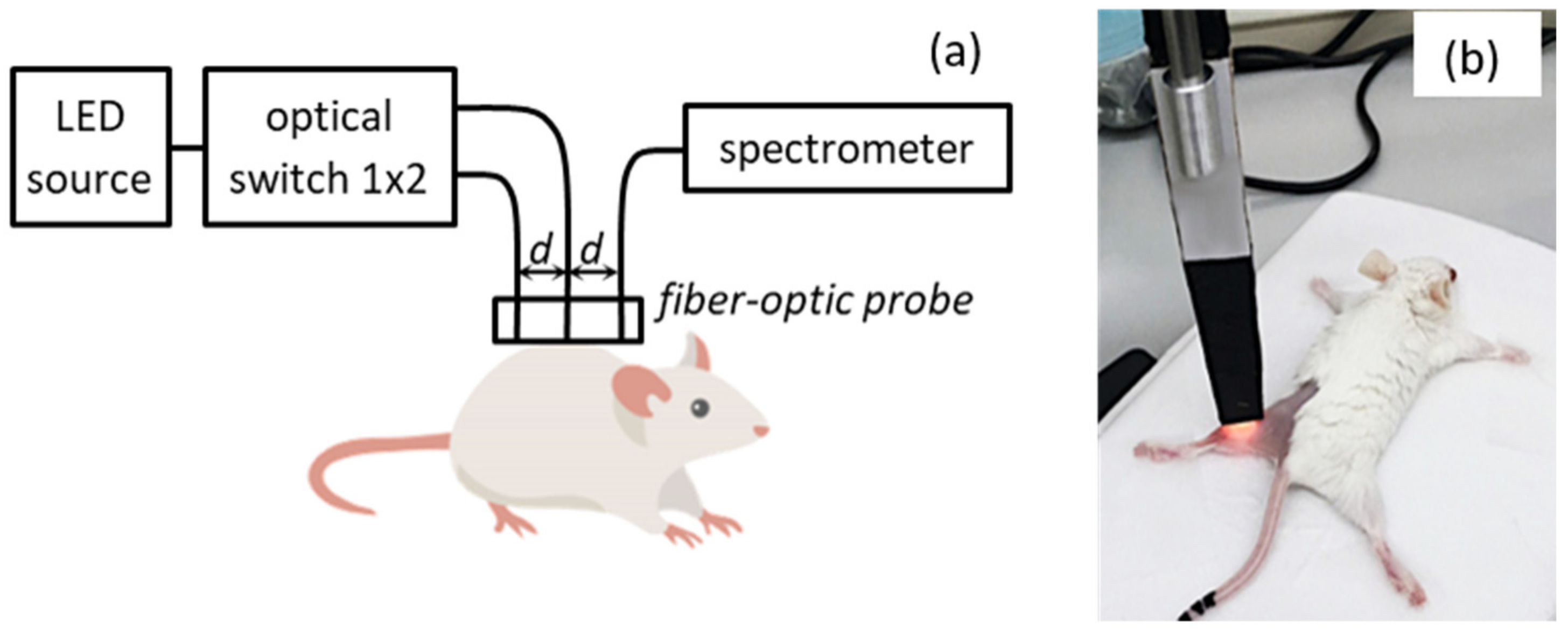Photonics 09 00019 g002 Photonics 09 00019 g002