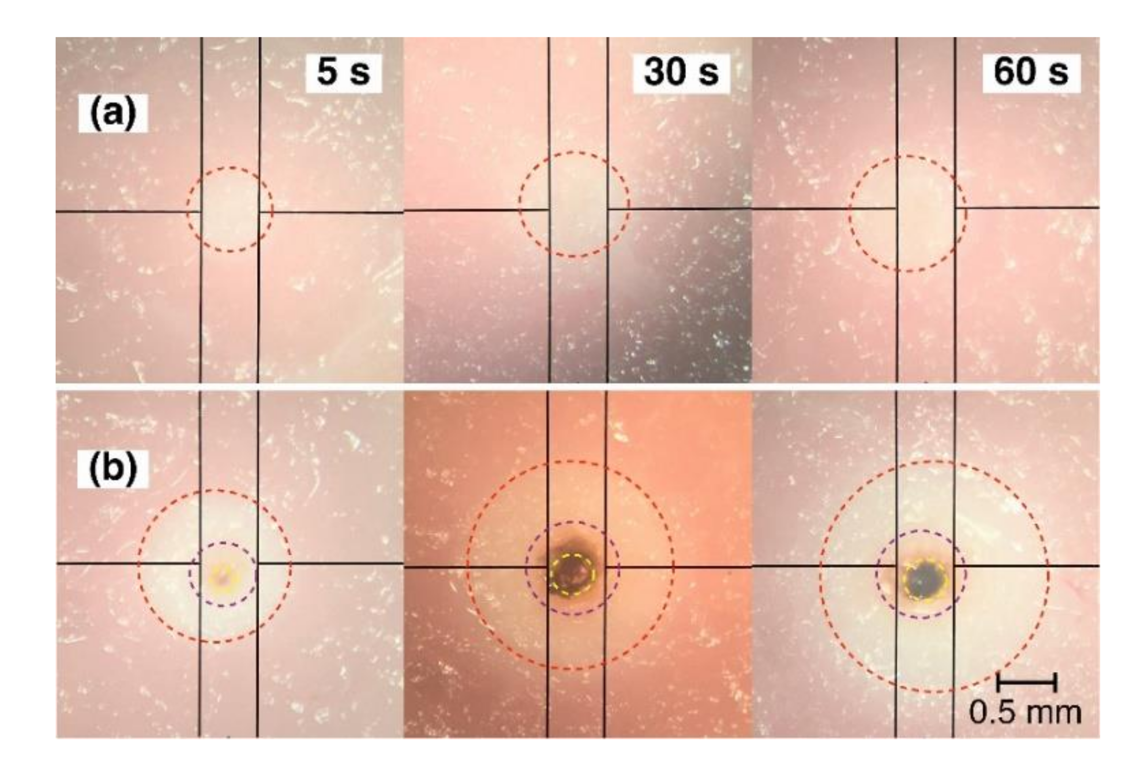 Photonics 09 00020 g005 Photonics 09 00020 g005
