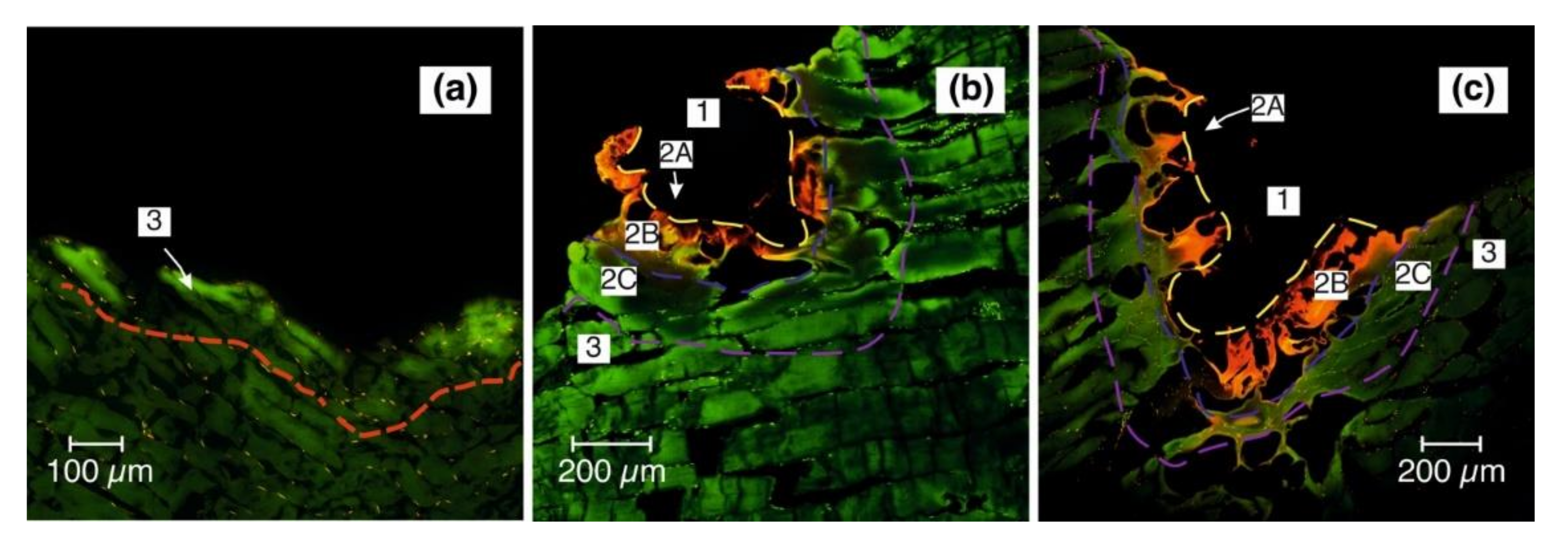Photonics 09 00020 g006 Photonics 09 00020 g006