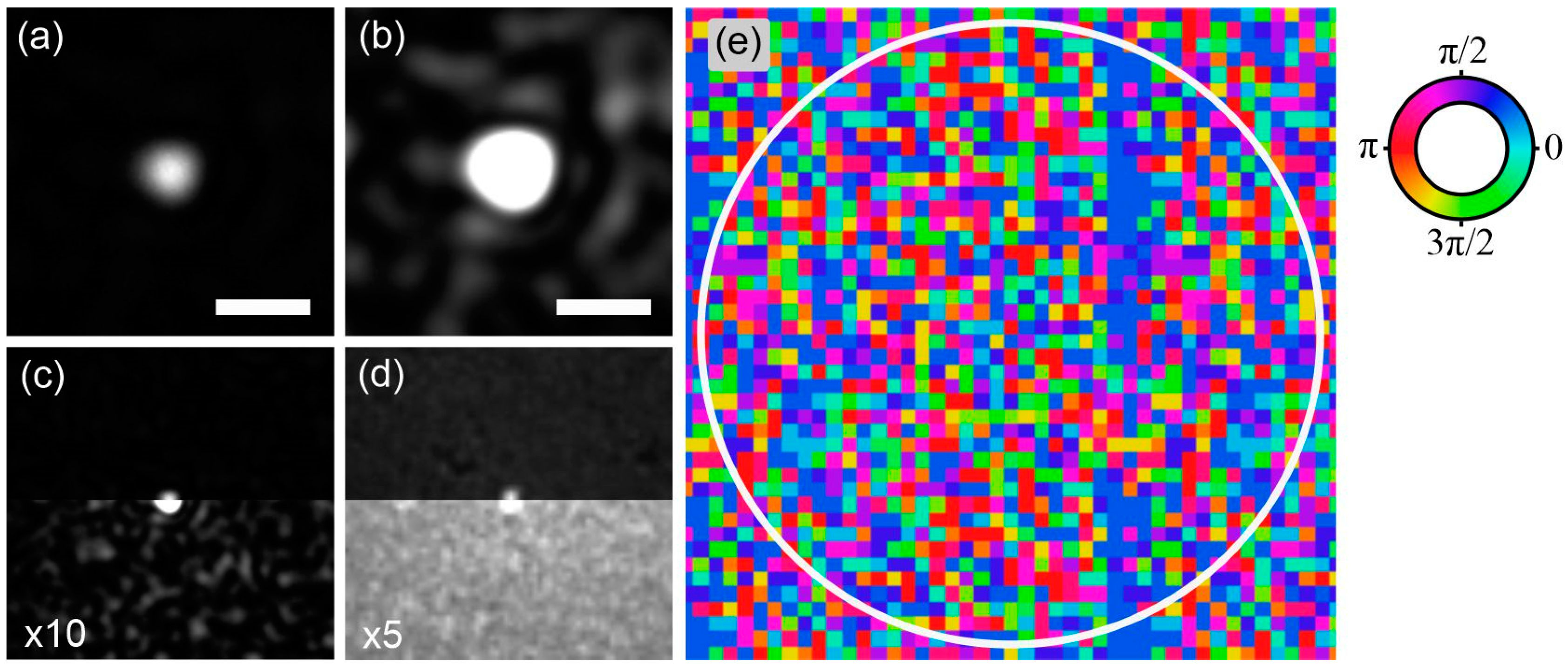 Photonics 09 00021 g005