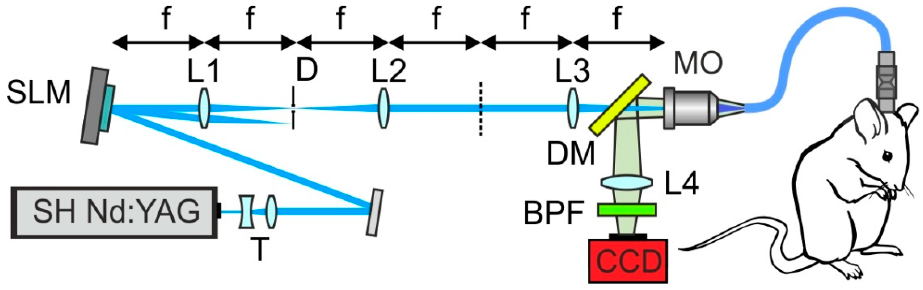 Photonics 09 00021 g007