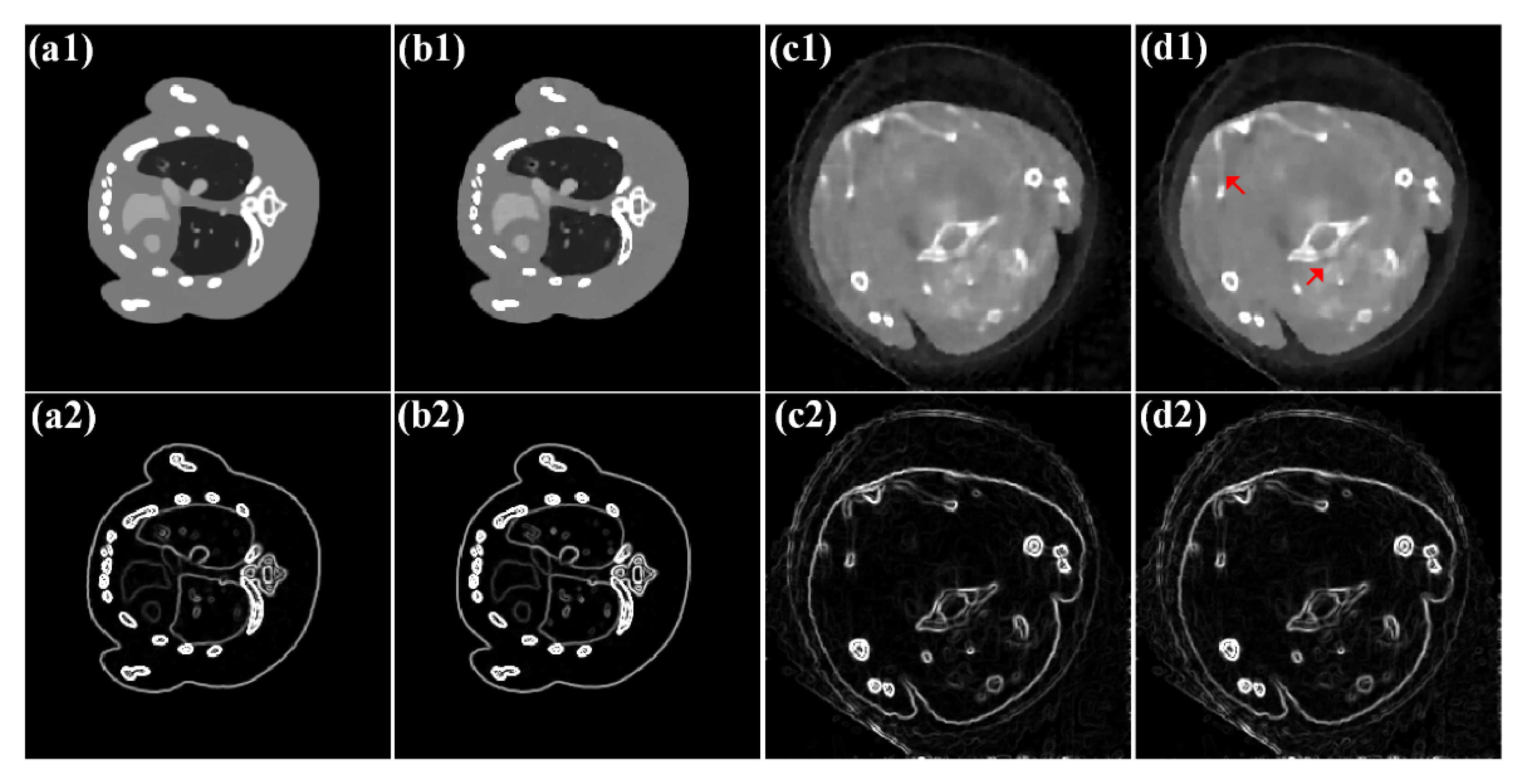 Photonics 09 00035 g013 550