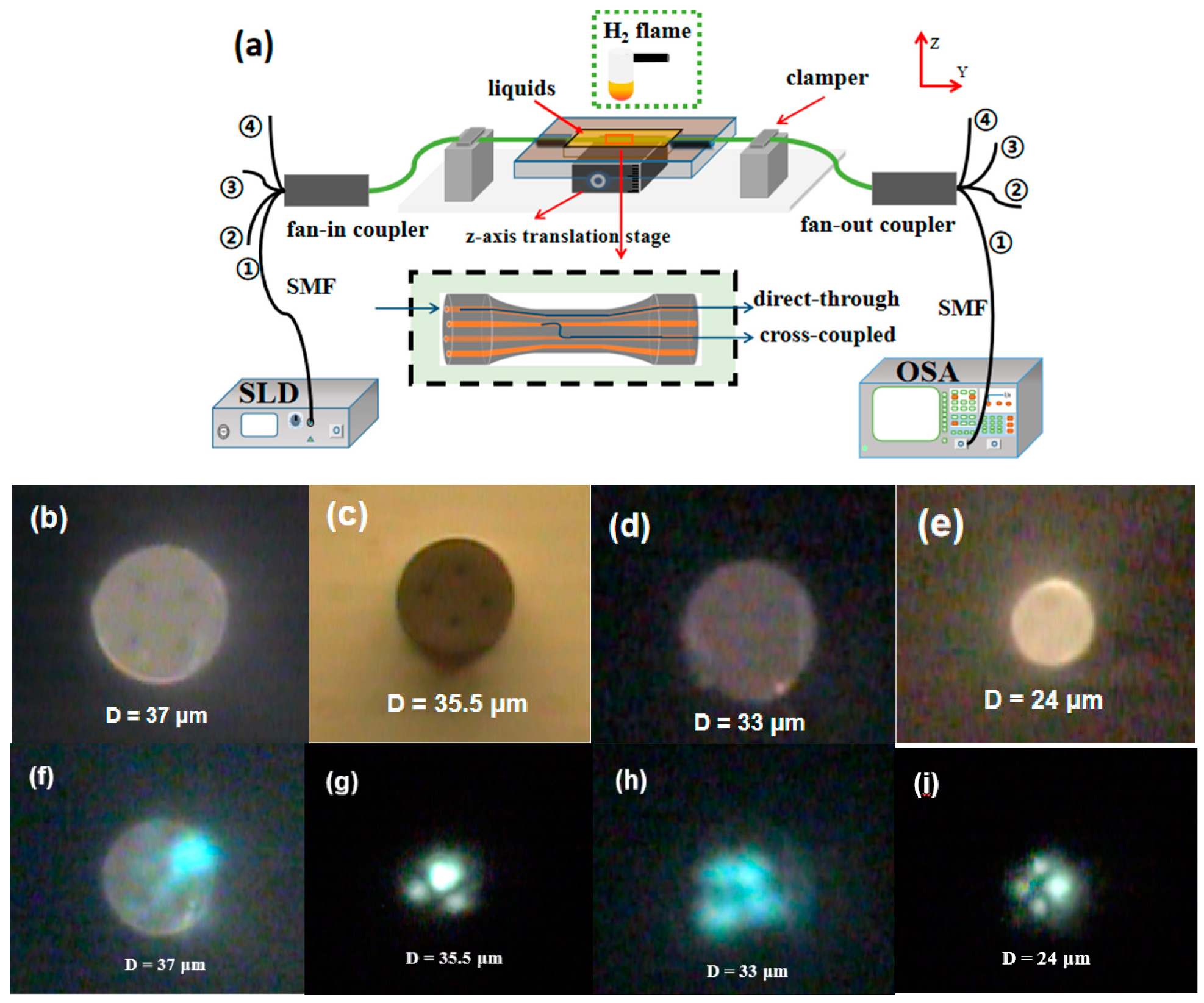 Photonics 09 00045 g002 550