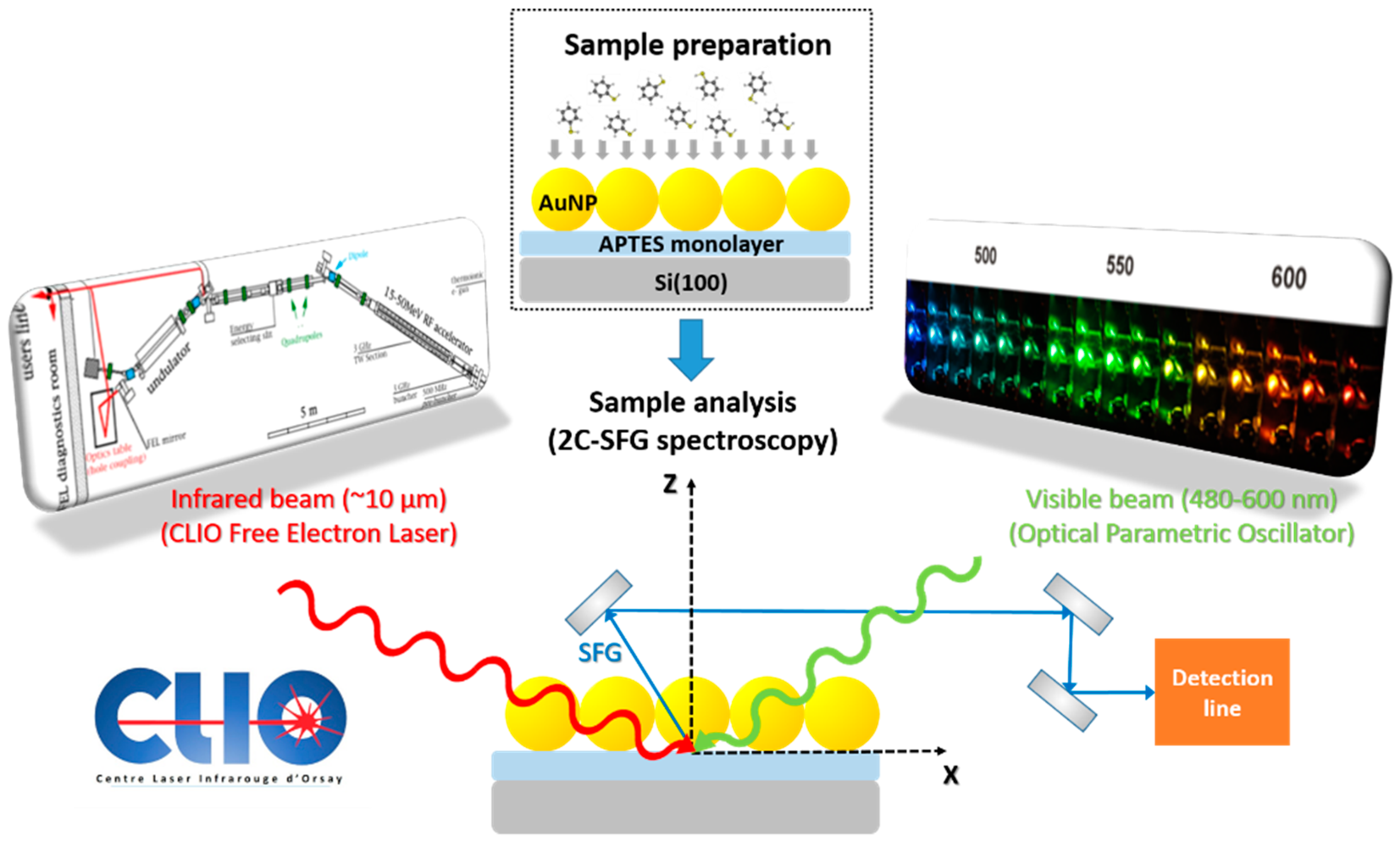 Photonics 09 00055 g001 550