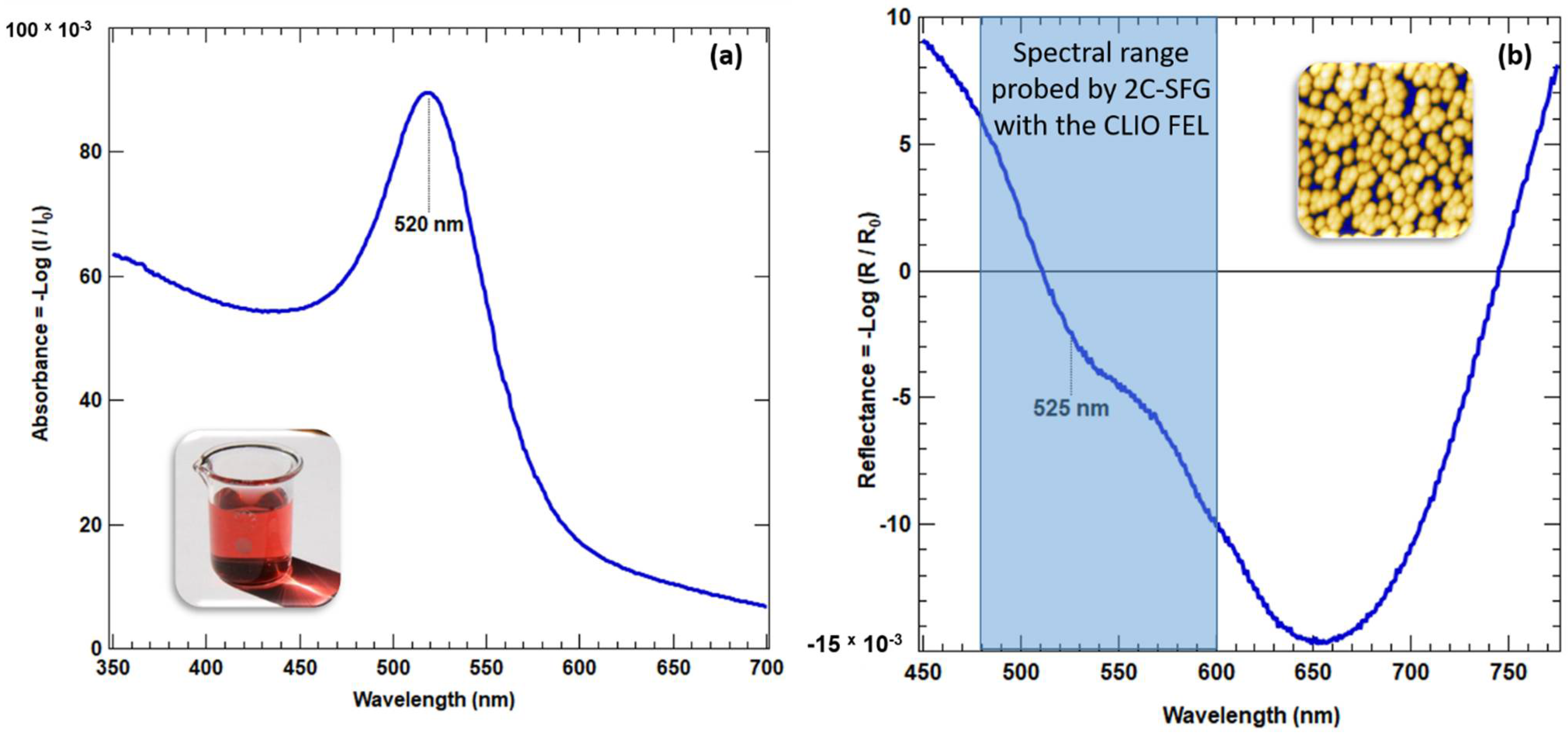 Photonics 09 00055 g003 550