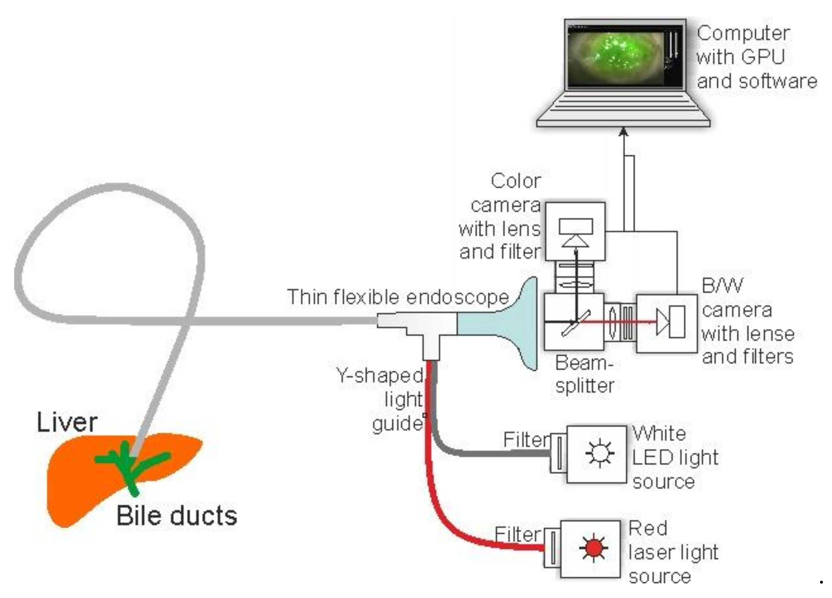 Photonics 09 00065 g001