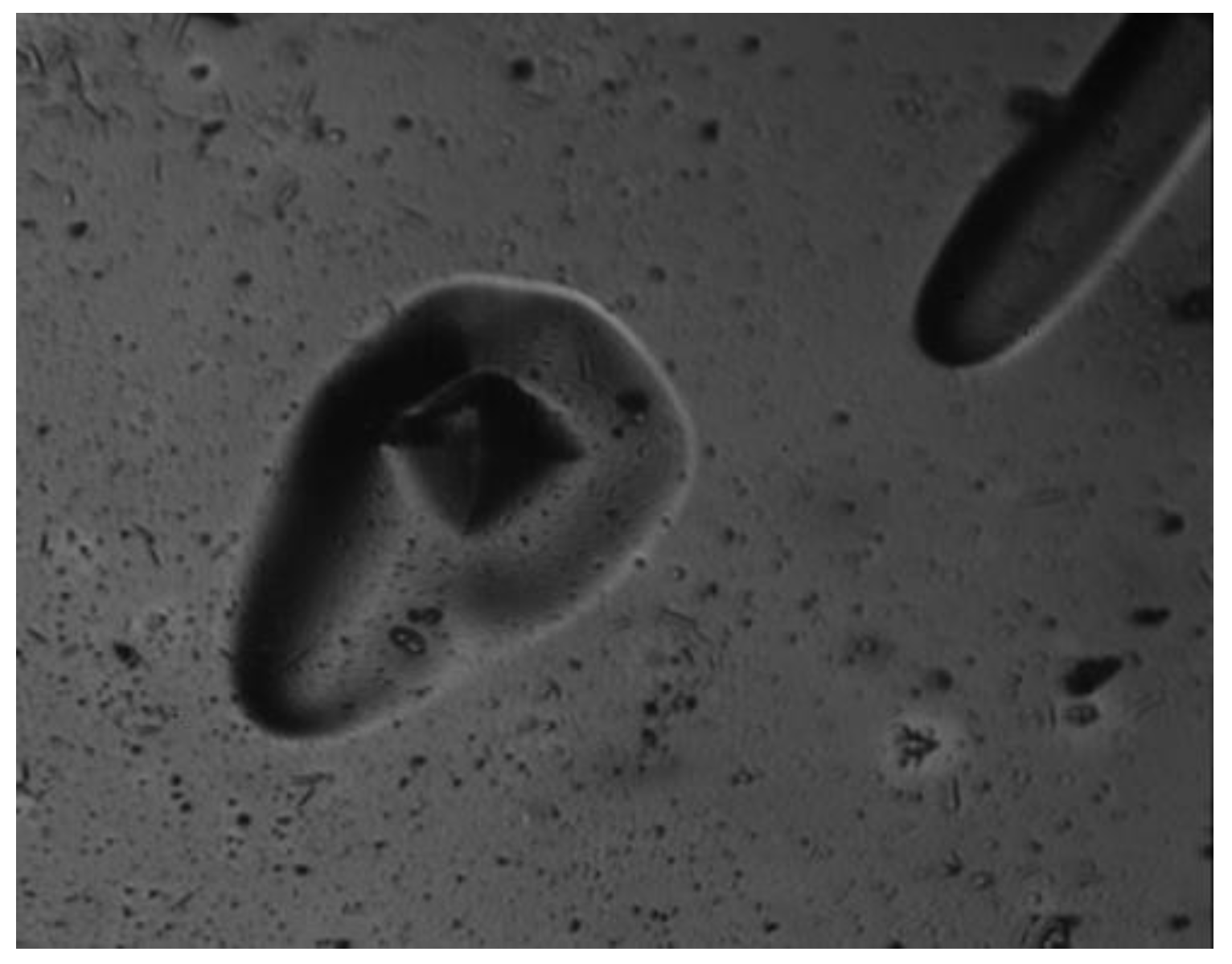 Photonics 09 00068 g012 Photonics 09 00068 g012