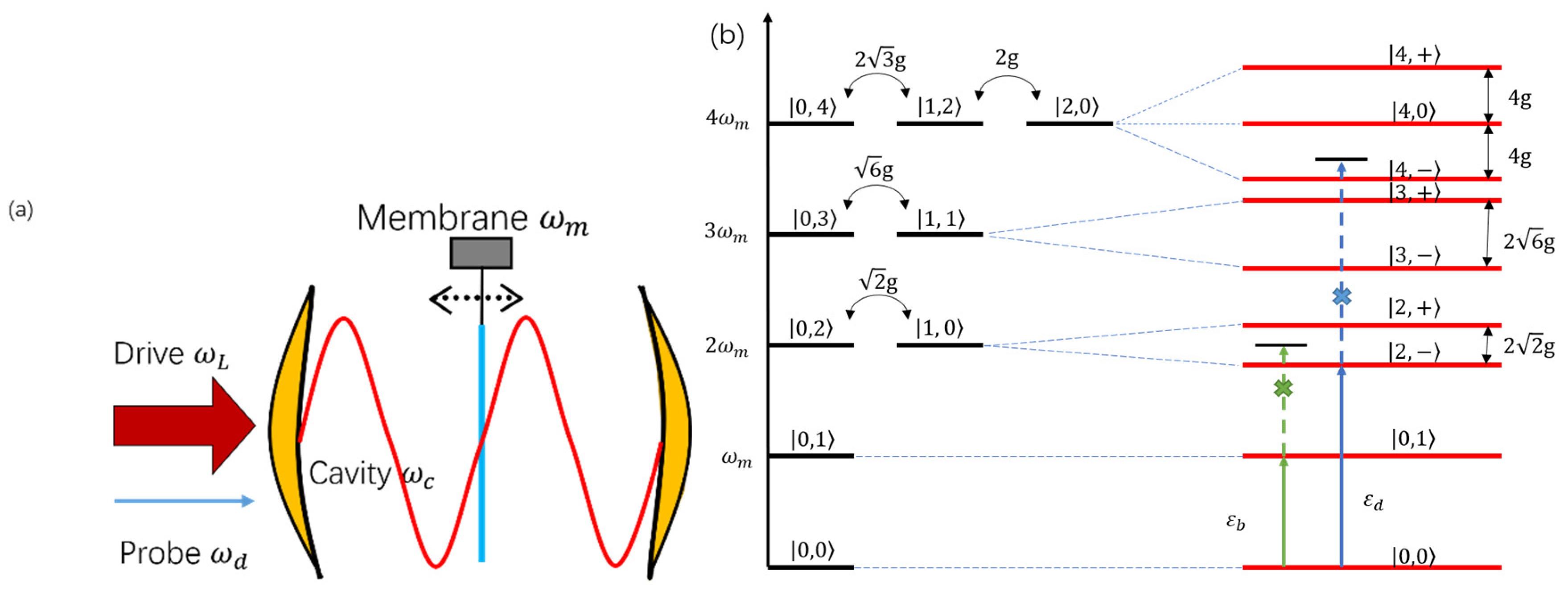 Photonics 09 00070 g001