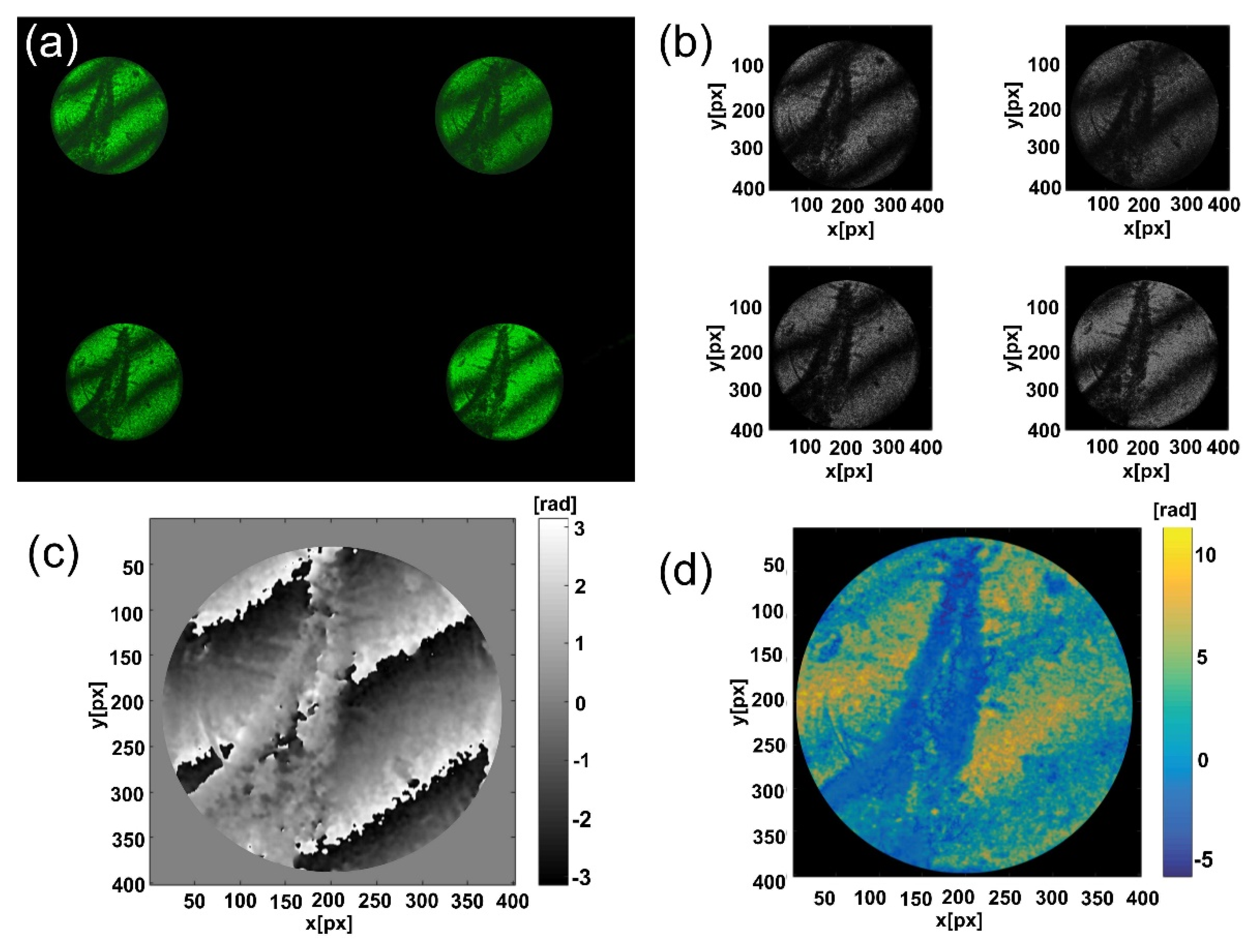 Photonics 09 00125 g007 550