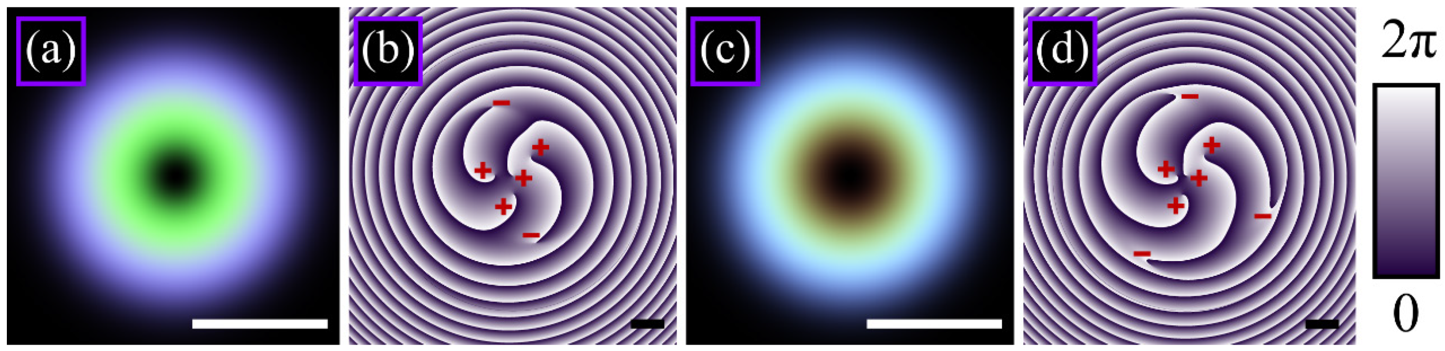 Photonics 09 00145 g005
