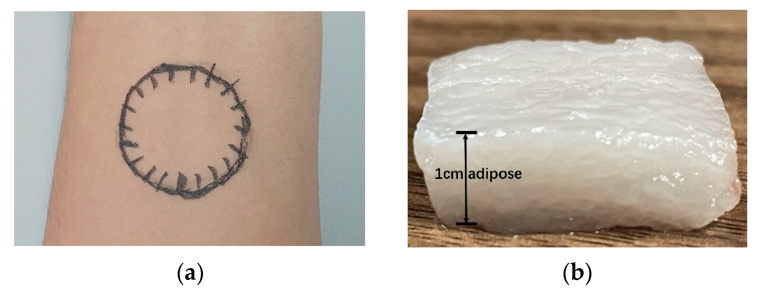 Photonics 09 00153 g002a 550