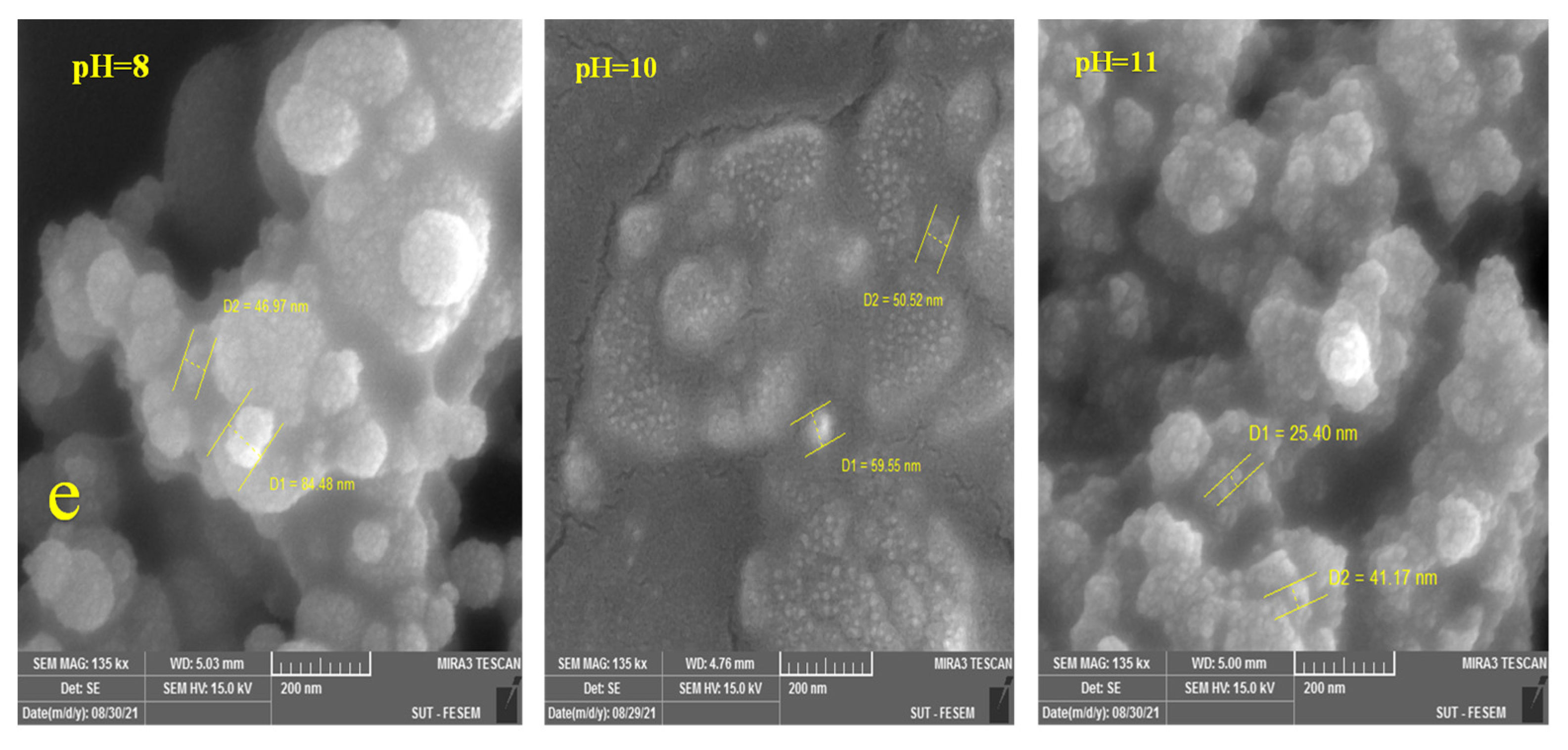Photonics 09 00161 g003c