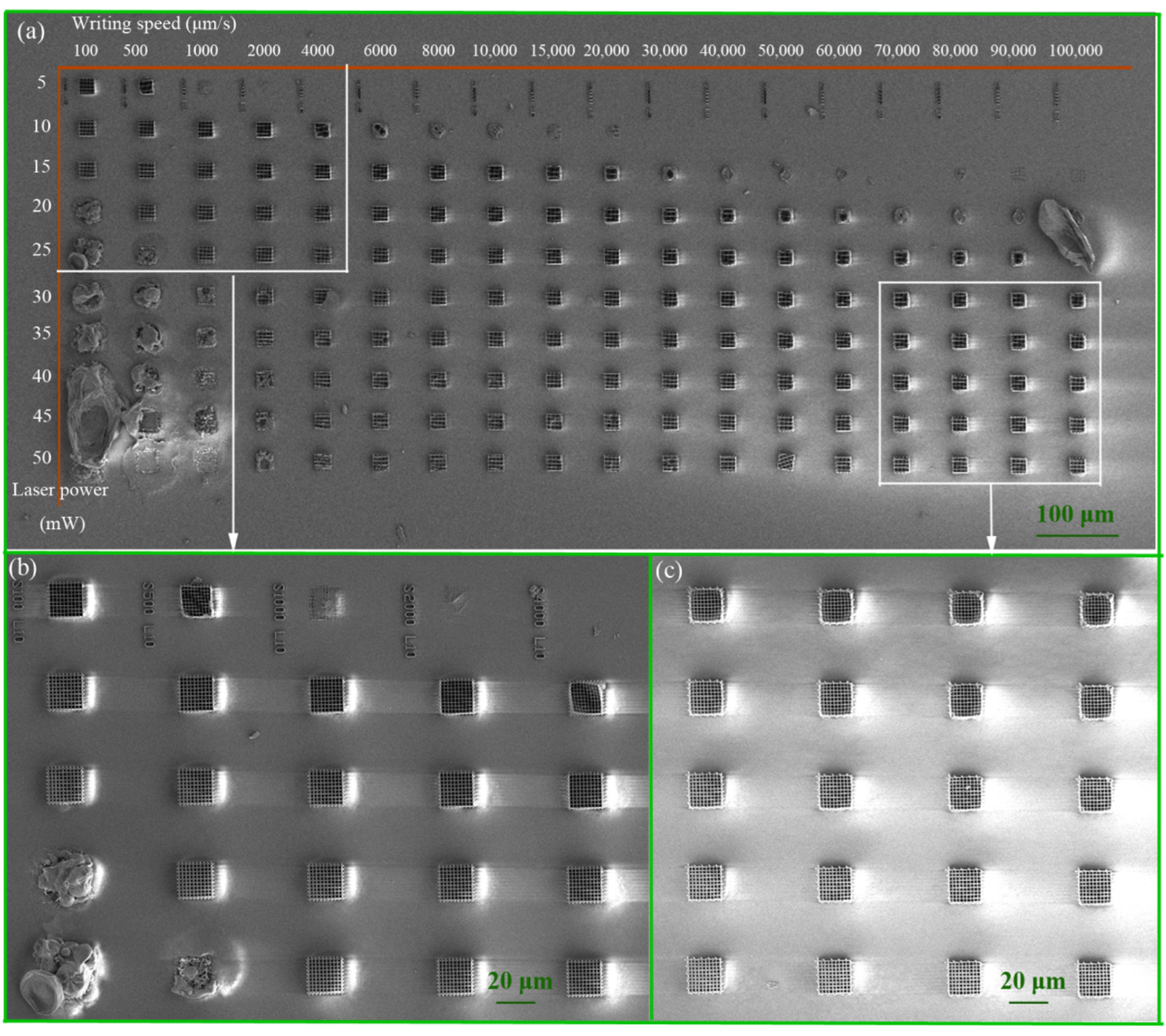 Photonics 09 00183 g007 550