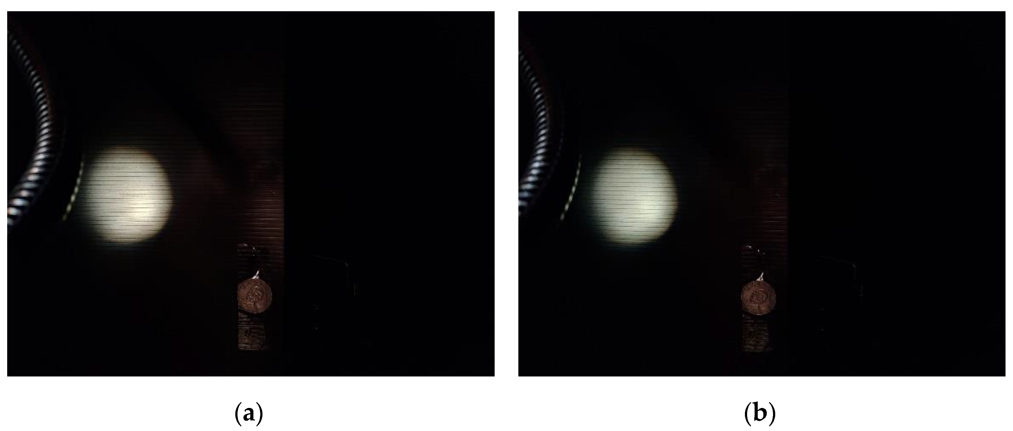 Photonics 09 00188 g010