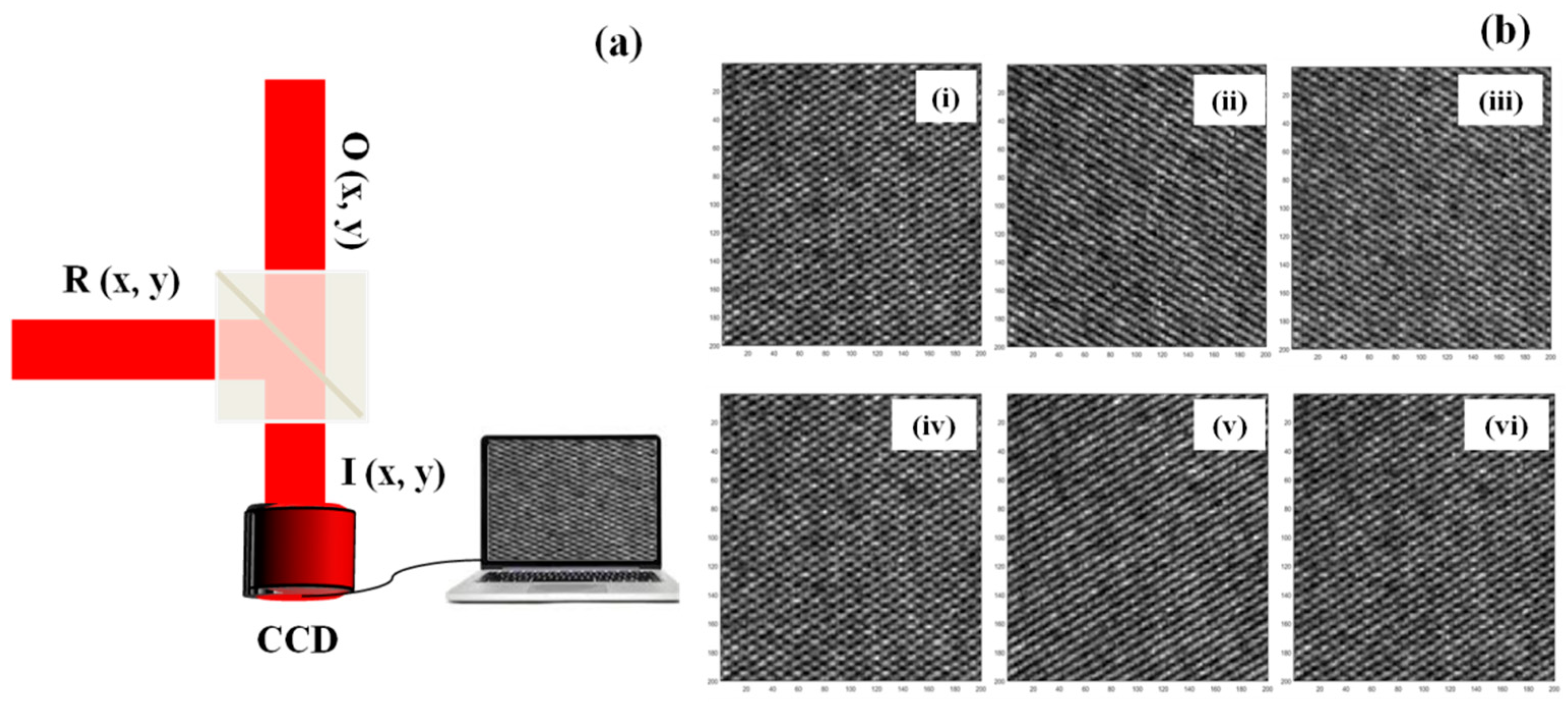 Photonics 09 00195 g003 550
