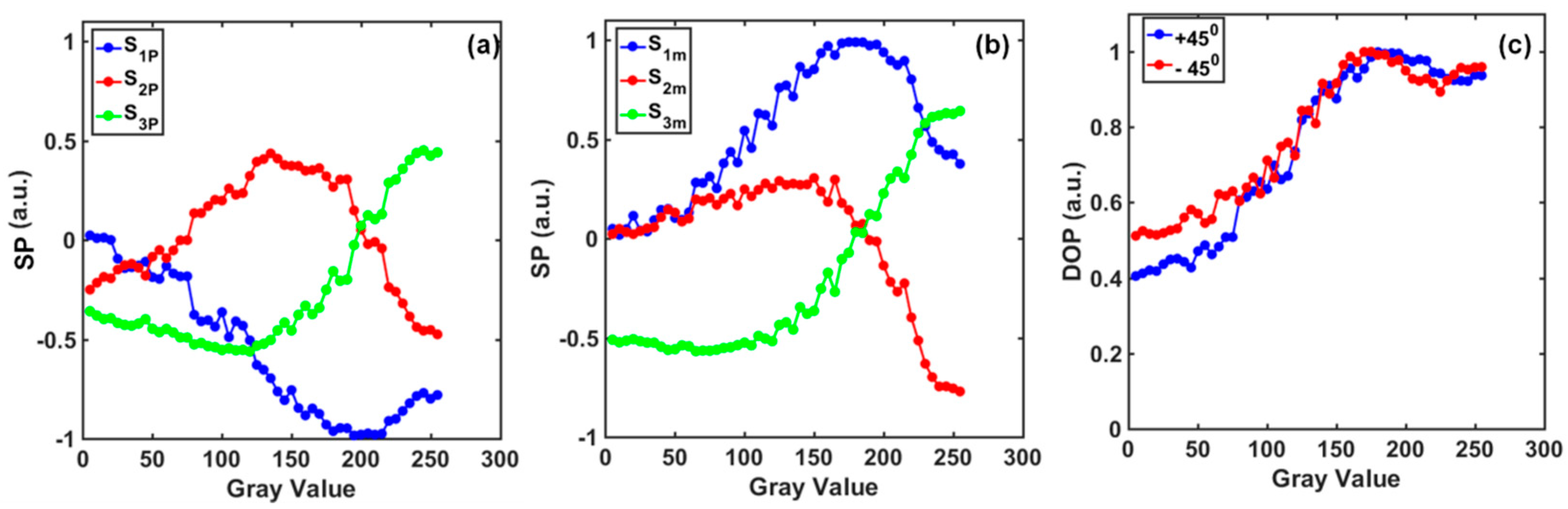 Photonics 09 00195 g005 550