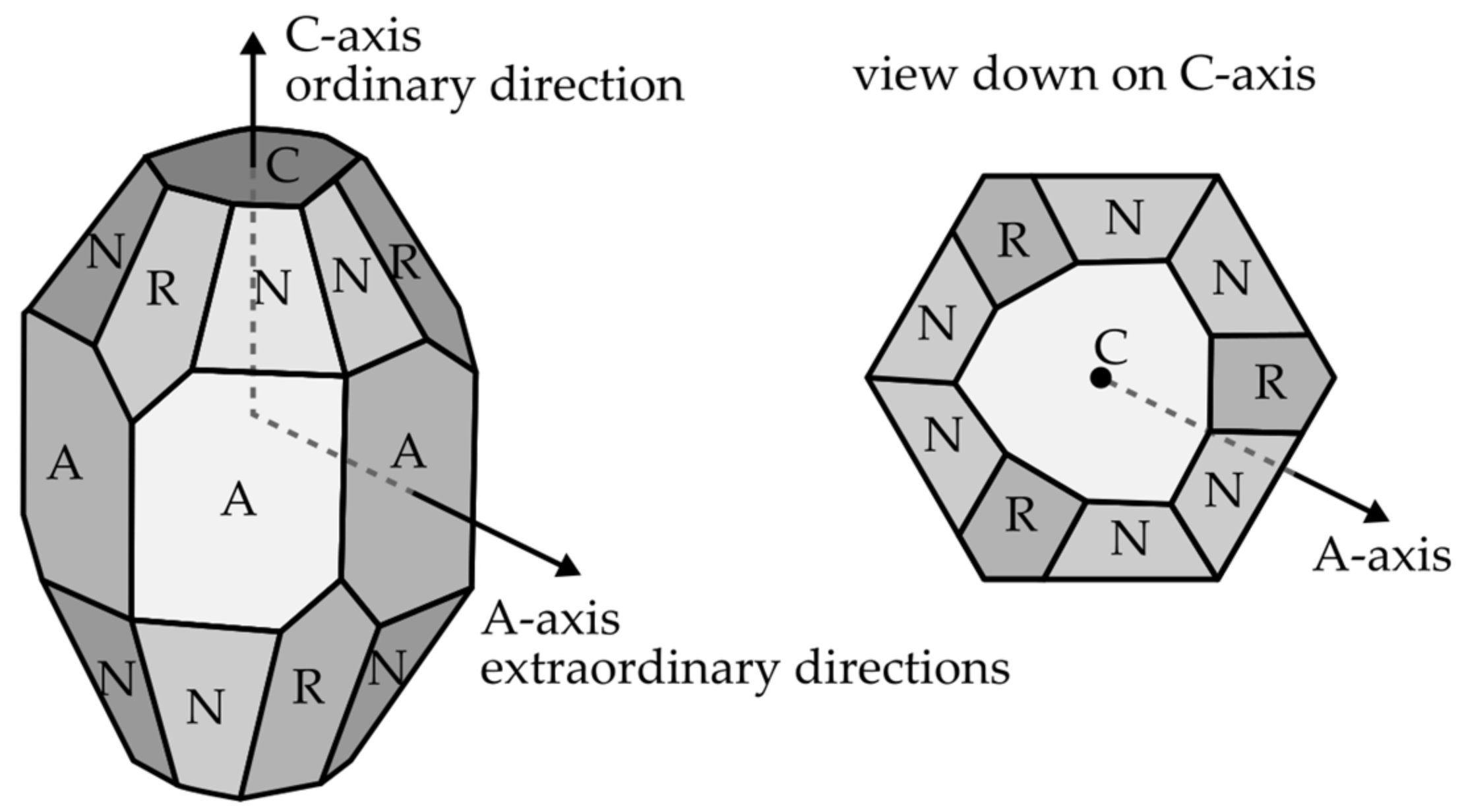 Photonics 09 00234 g001 550