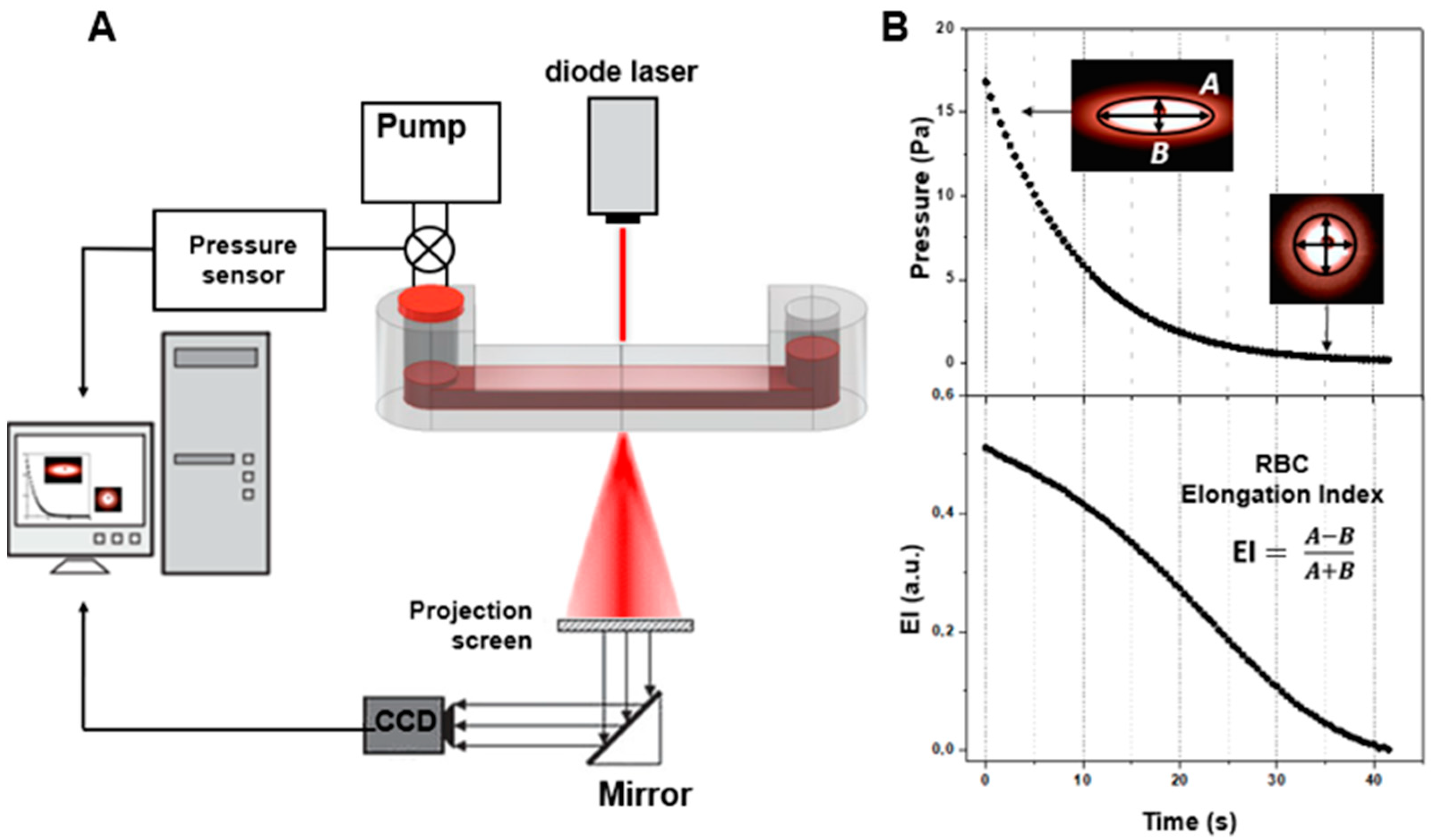 Photonics 09 00238 g005 550