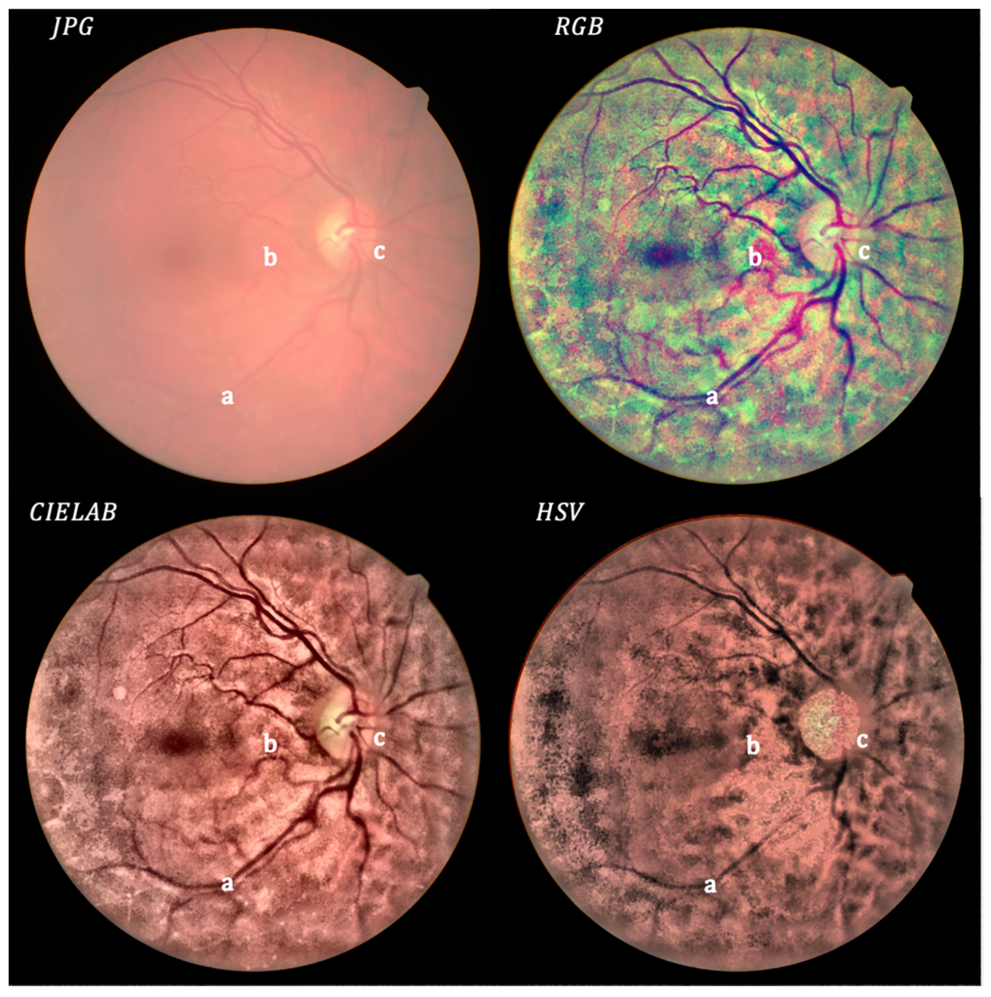 Photonics 09 00251 g006