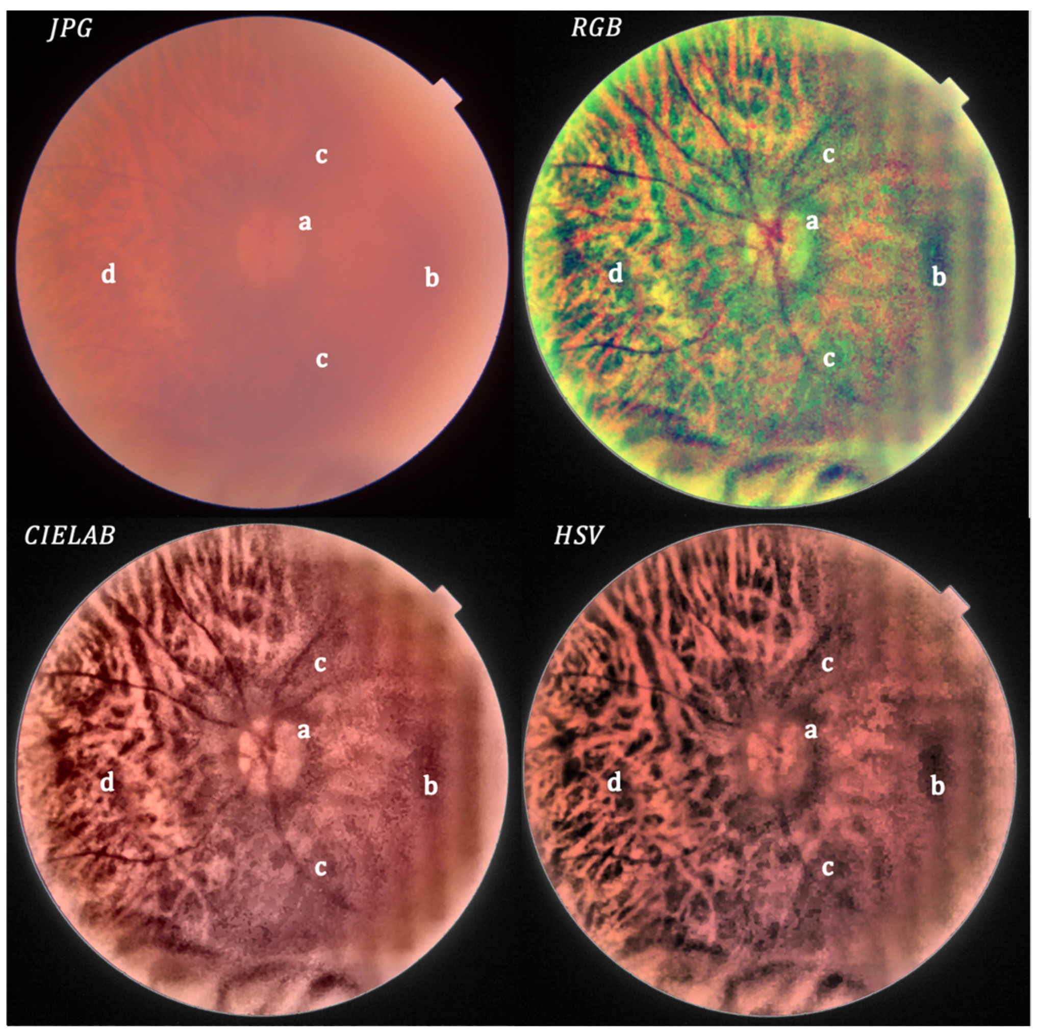 Photonics 09 00251 g008