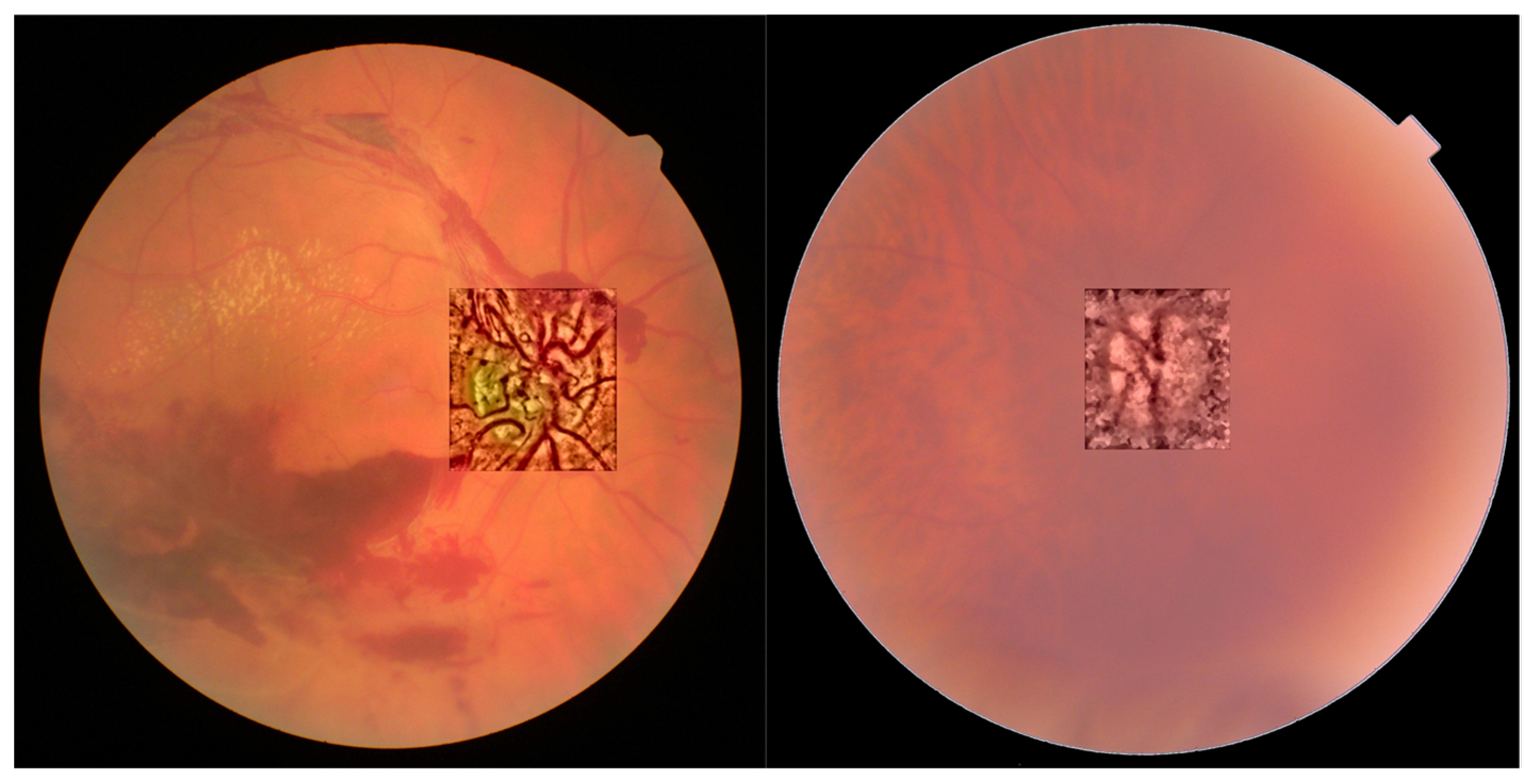 Photonics 09 00251 g010