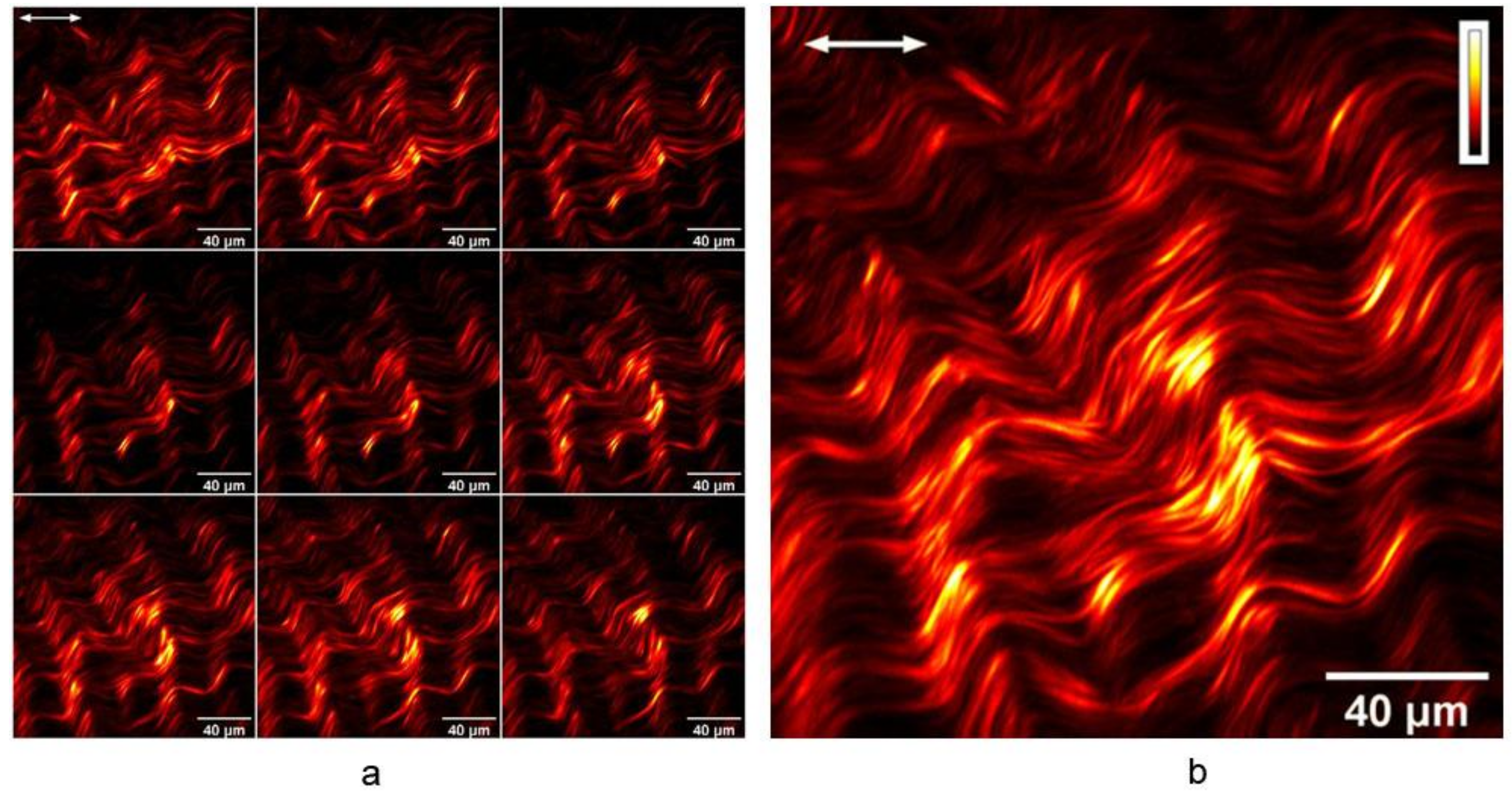 Photonics 09 00254 g001
