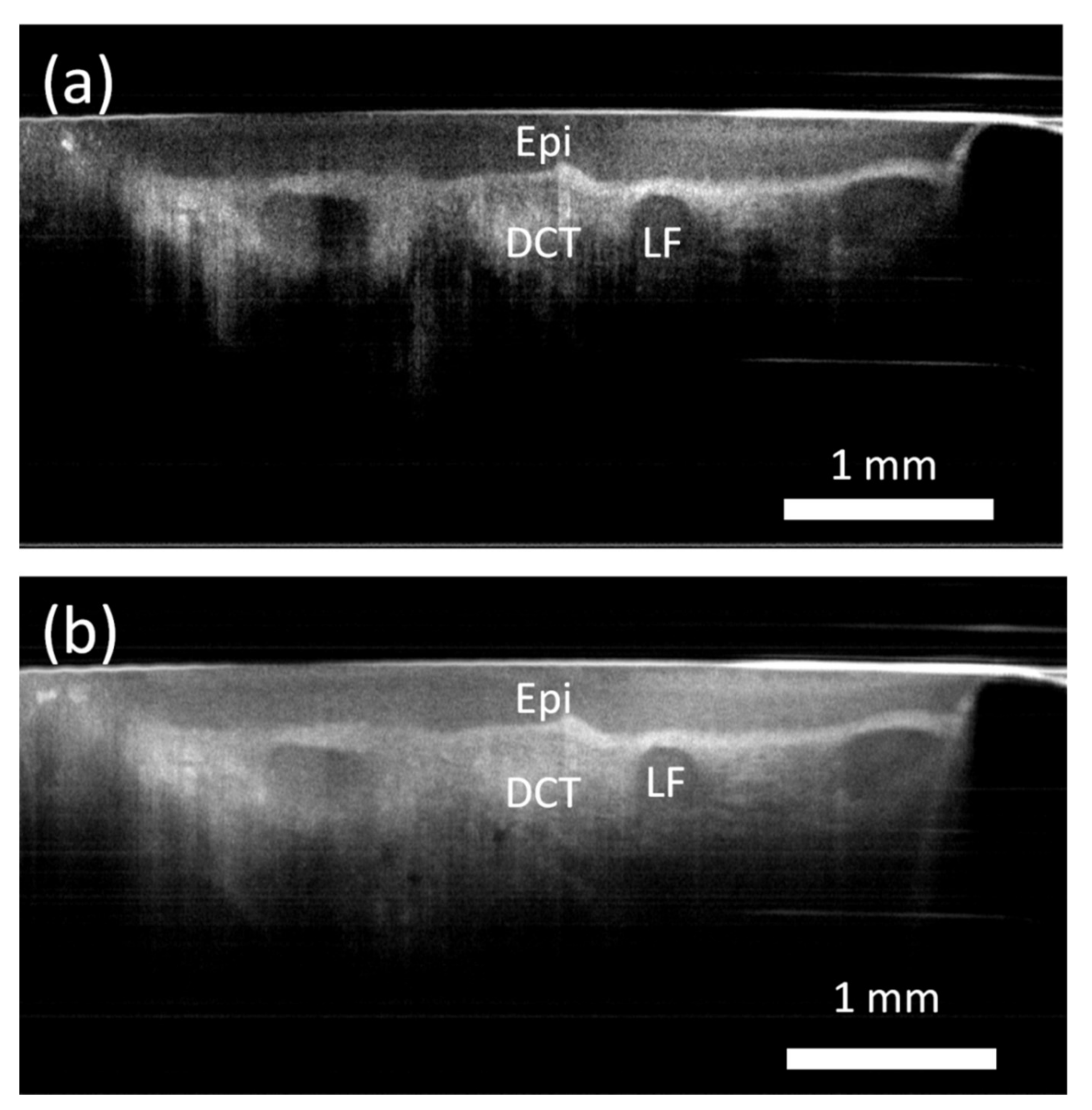 Photonics 09 00259 g002
