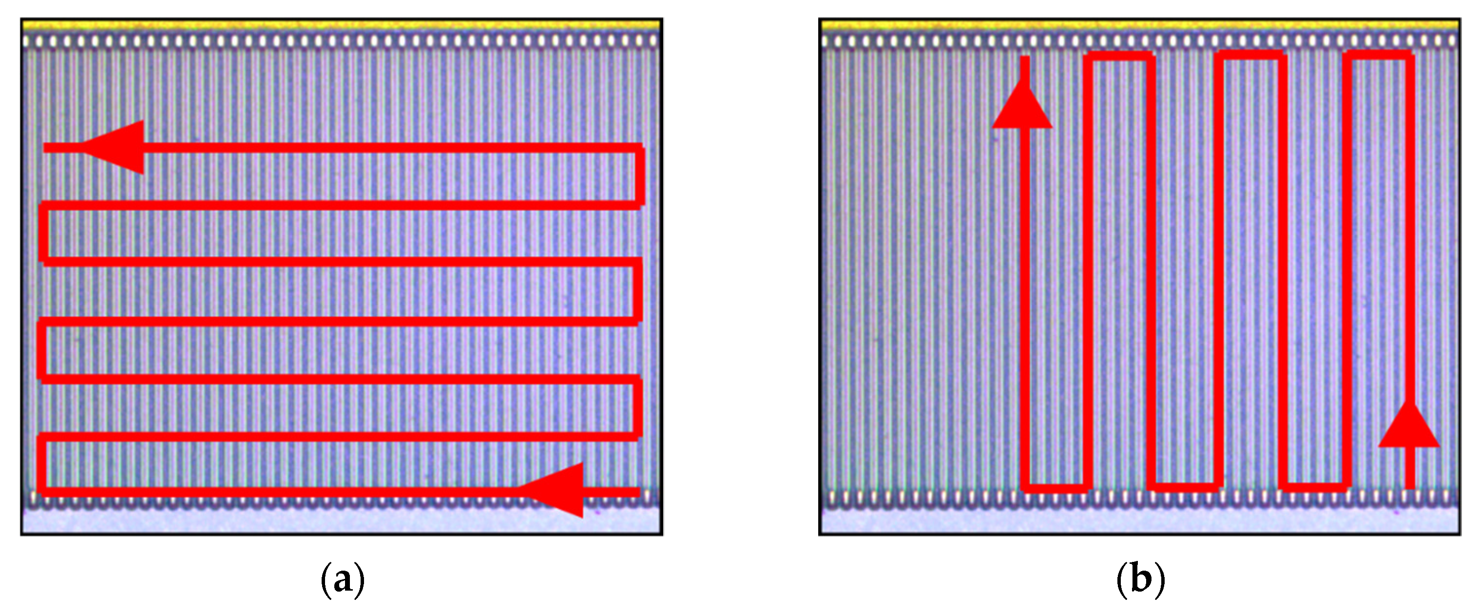 Photonics 09 00270 g005