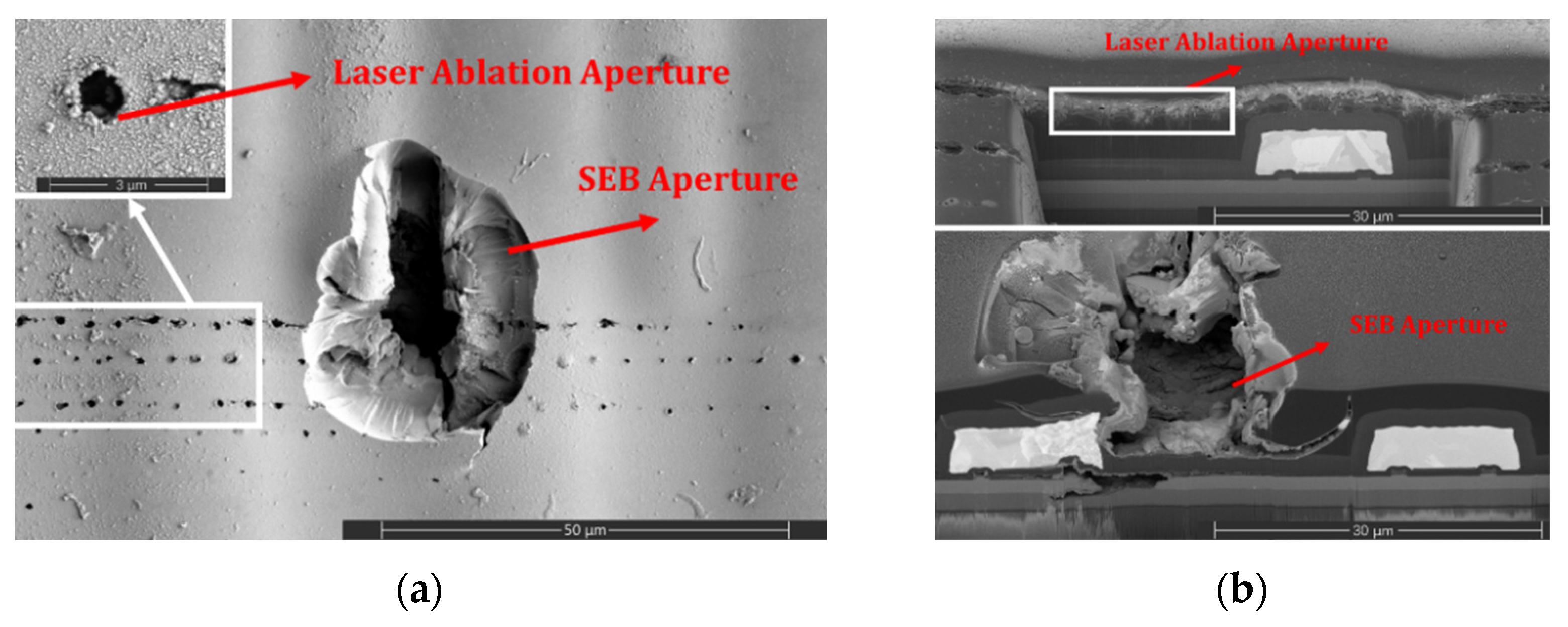 Photonics 09 00270 g007