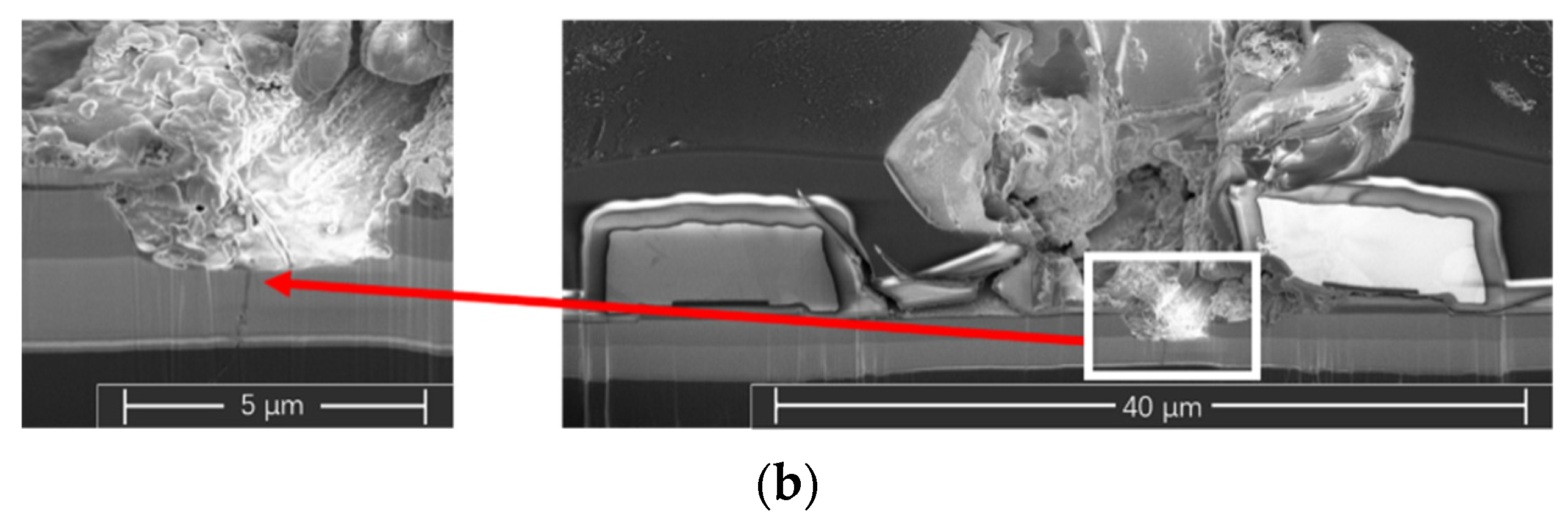 Photonics 09 00270 g008b