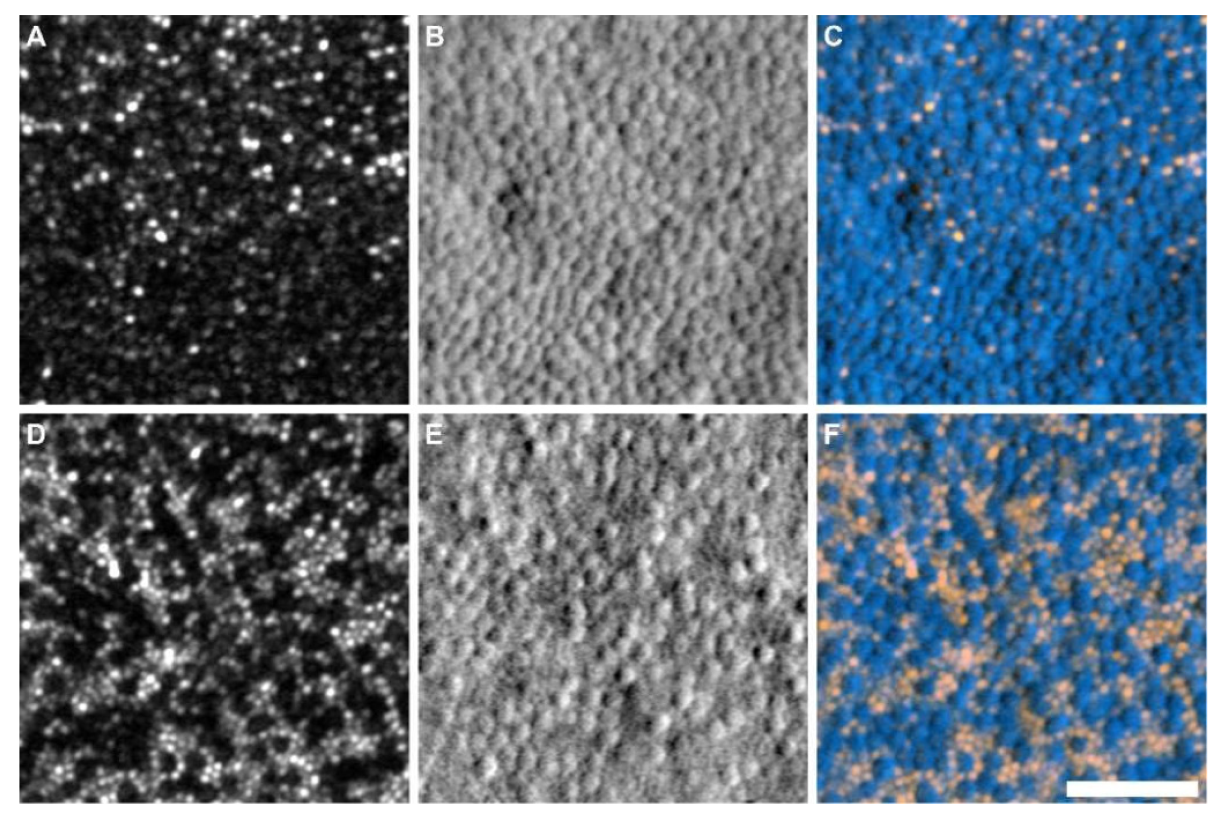 Photonics 09 00288 g006 Photonics 09 00288 g006