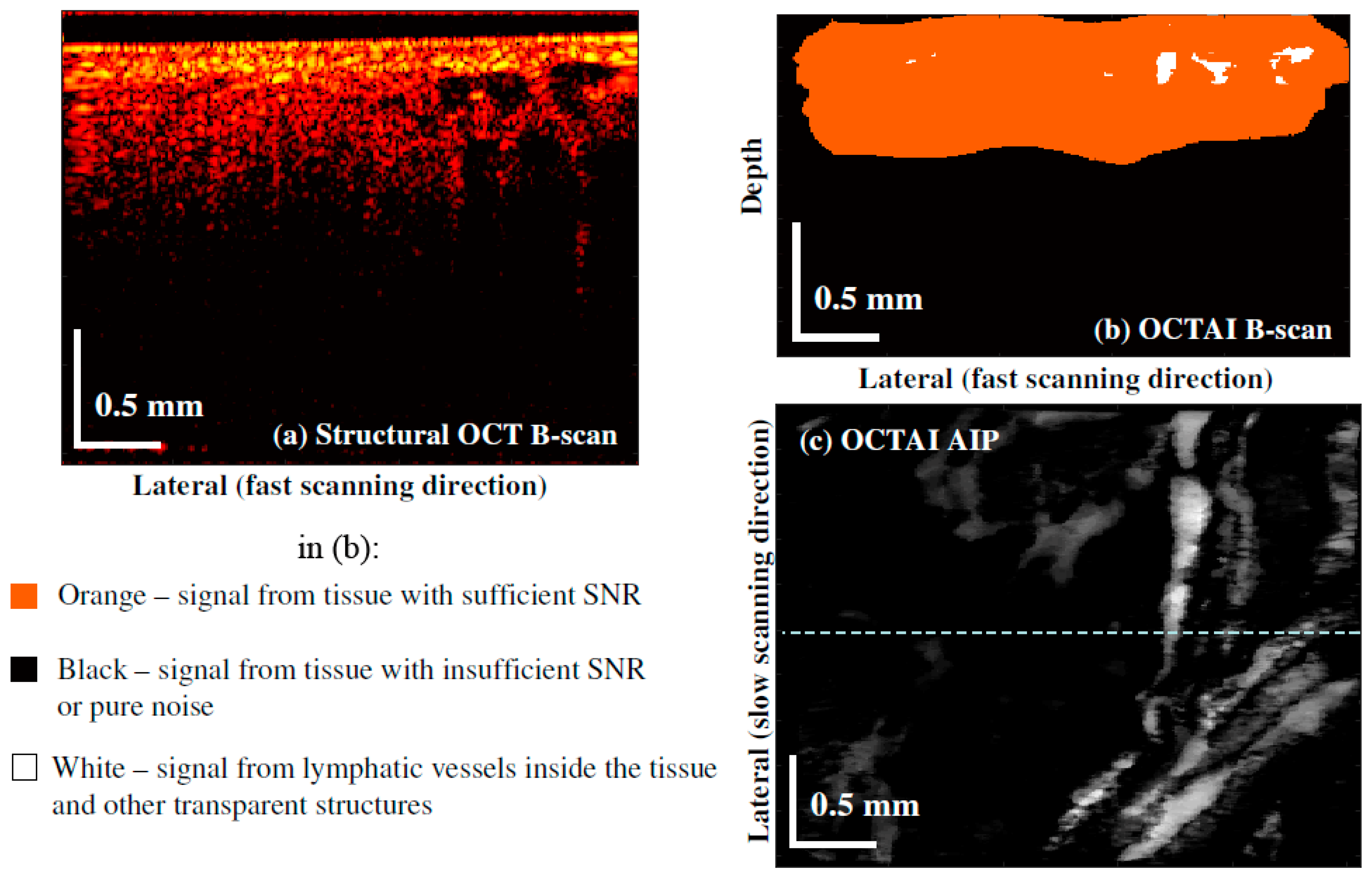 Photonics 09 00304 g002
