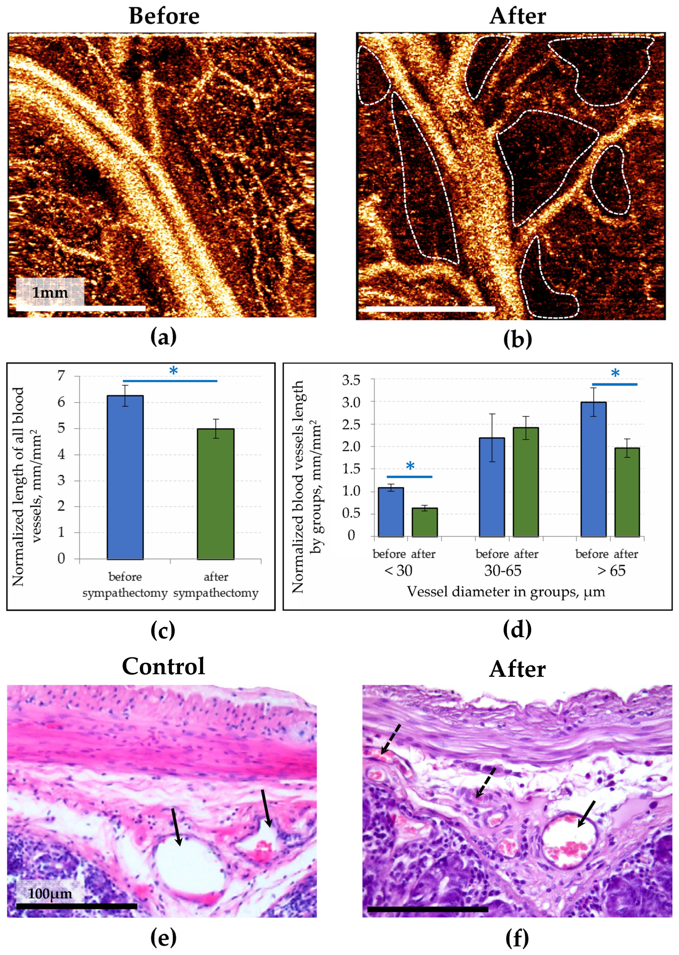 Photonics 09 00304 g003