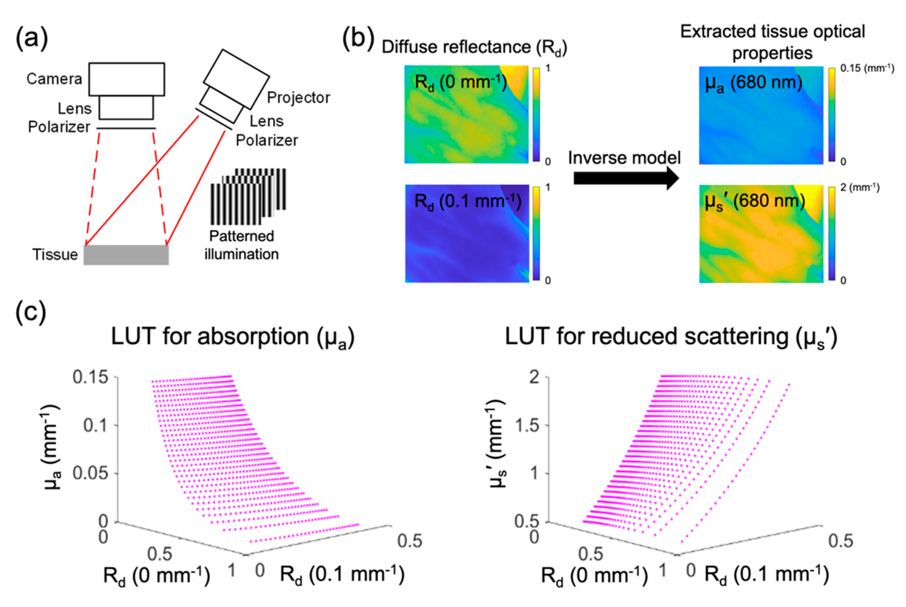 Photonics 09 00327 g001