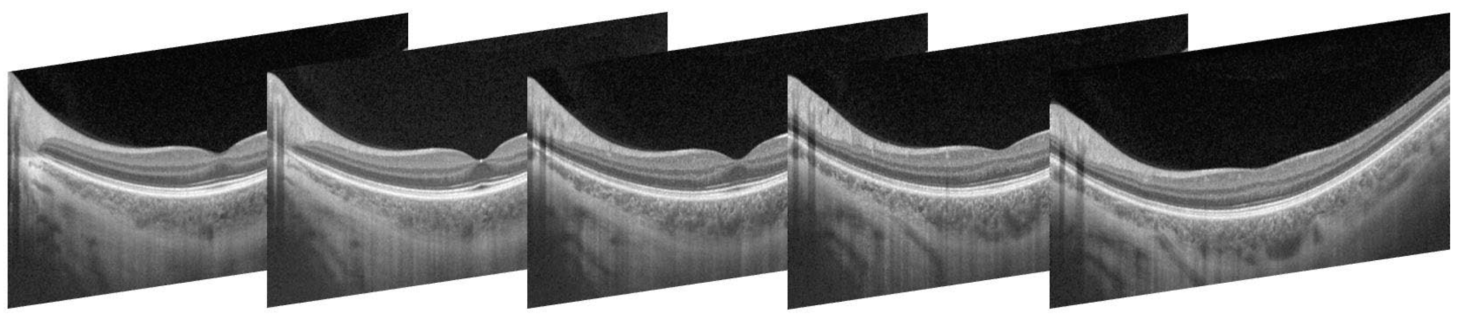 Photonics 09 00328 g001
